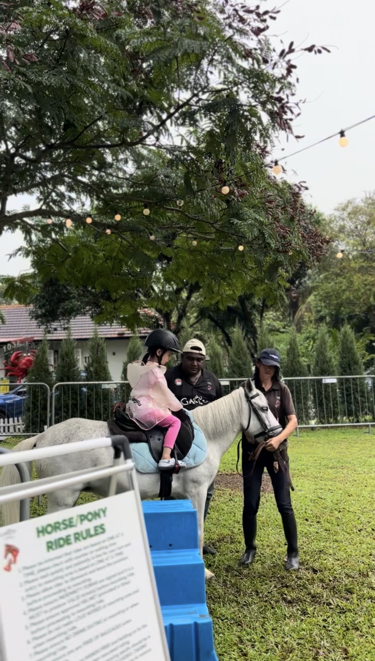 A Gallop Stable outdoor pony hire moment