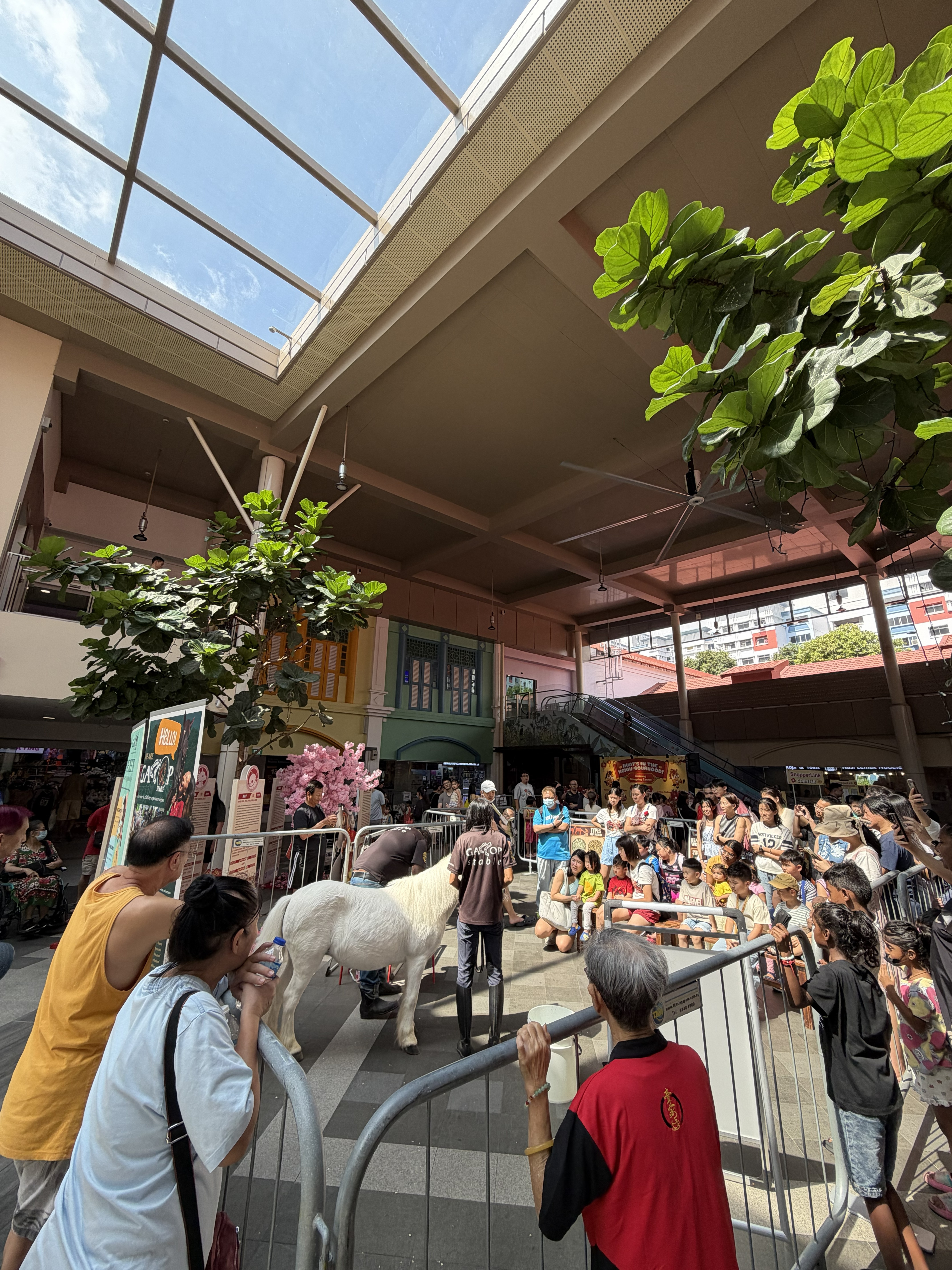 A pony visit for an outdoor celebration