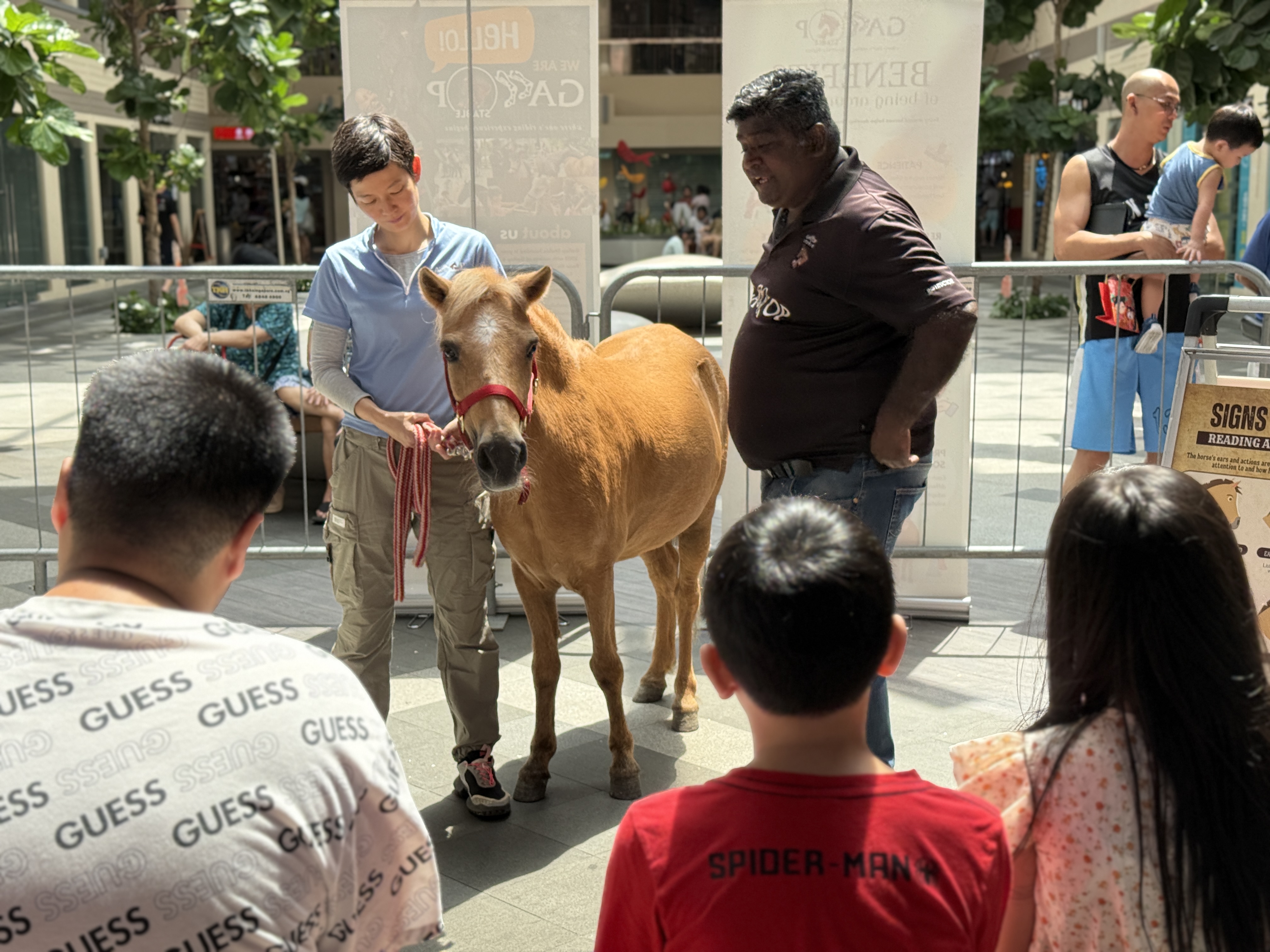A child meeting a pony during an event