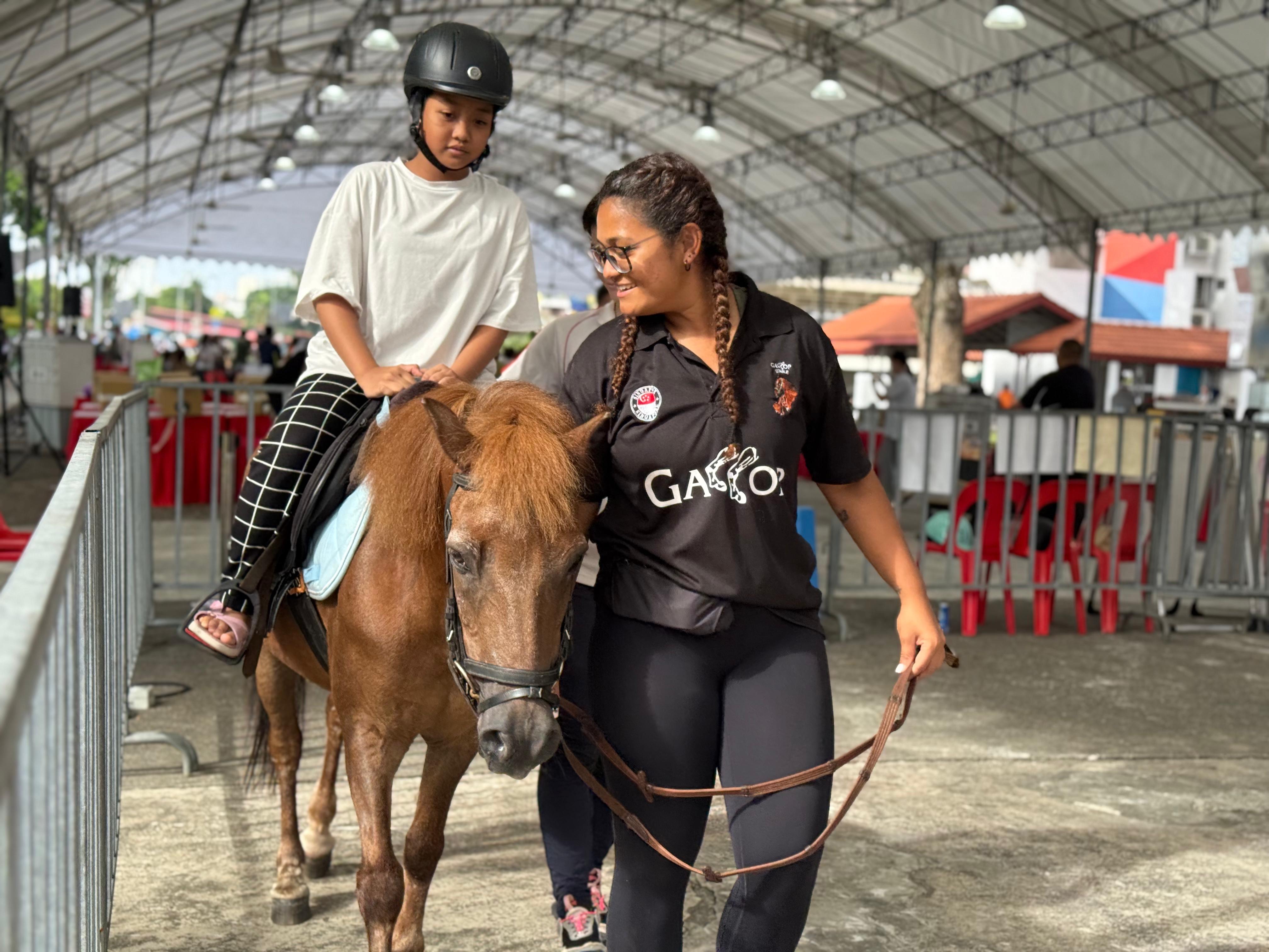 A pony and handler at an outdoor programme