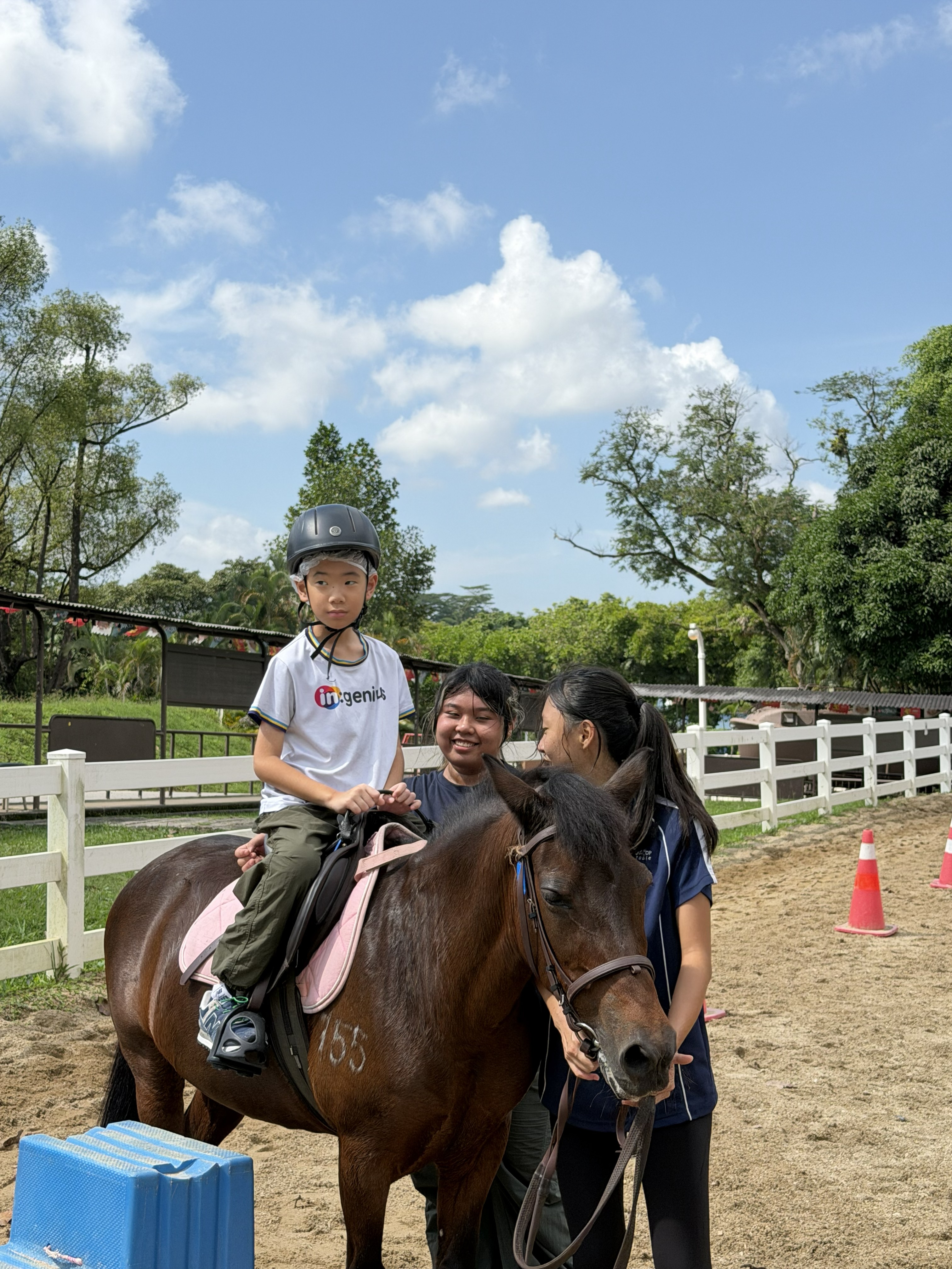 Visitors meeting a pony at Gallop Jackuda