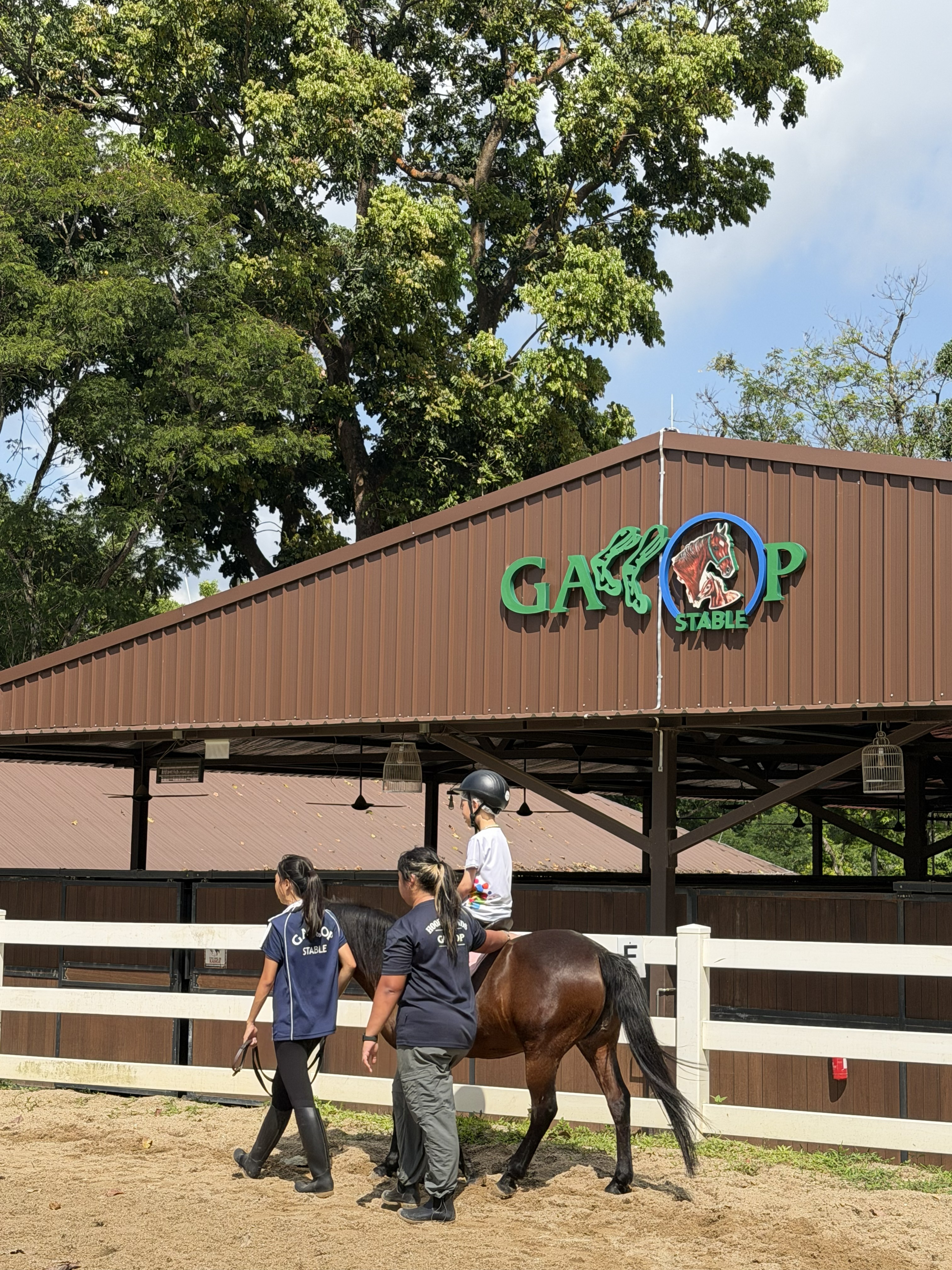 A family enjoying a pony activity