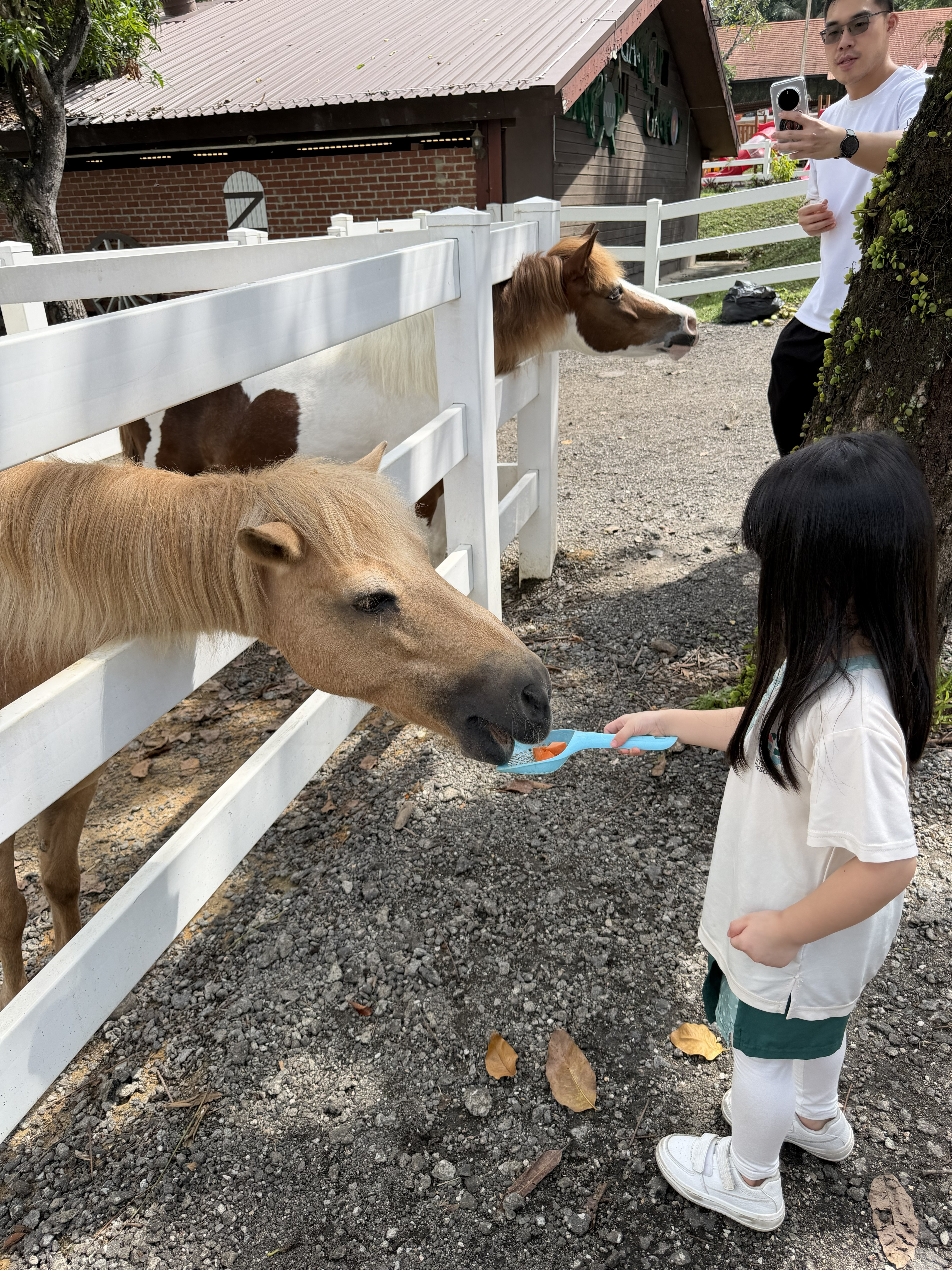 A pony ride moment at Gallop Jackuda