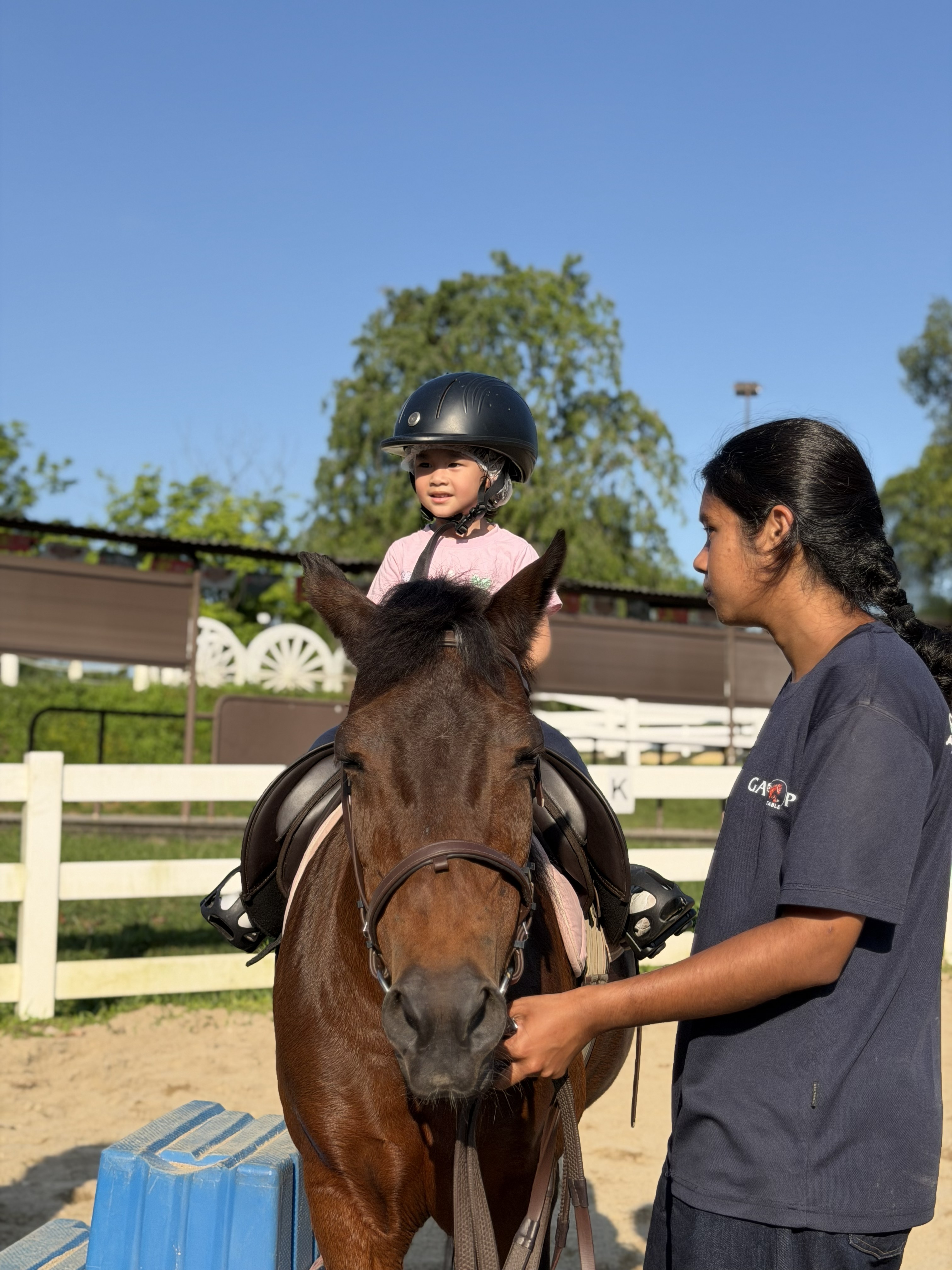 A family-friendly pony ride experience