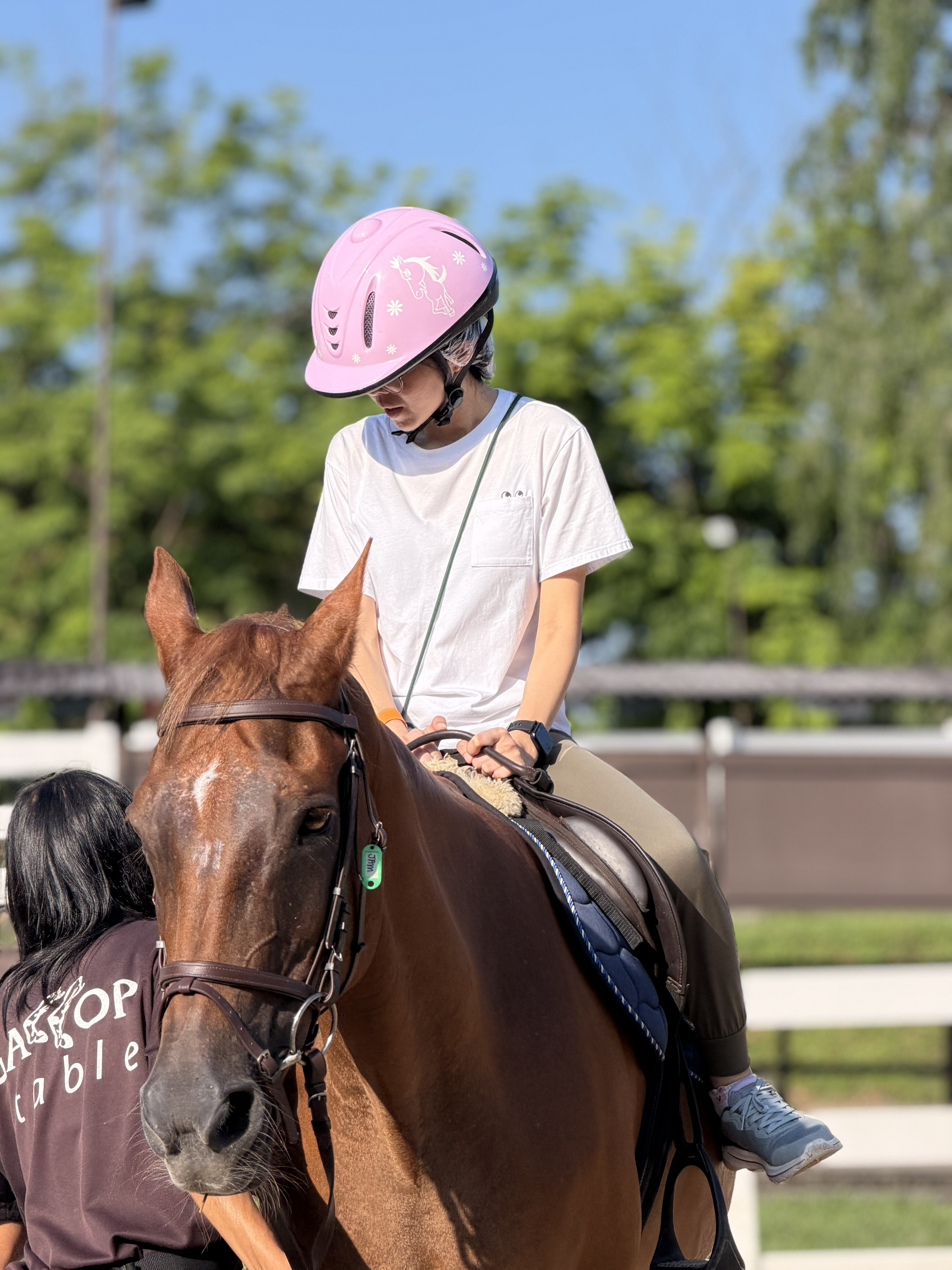 A guided pony ride at Gallop Jackuda