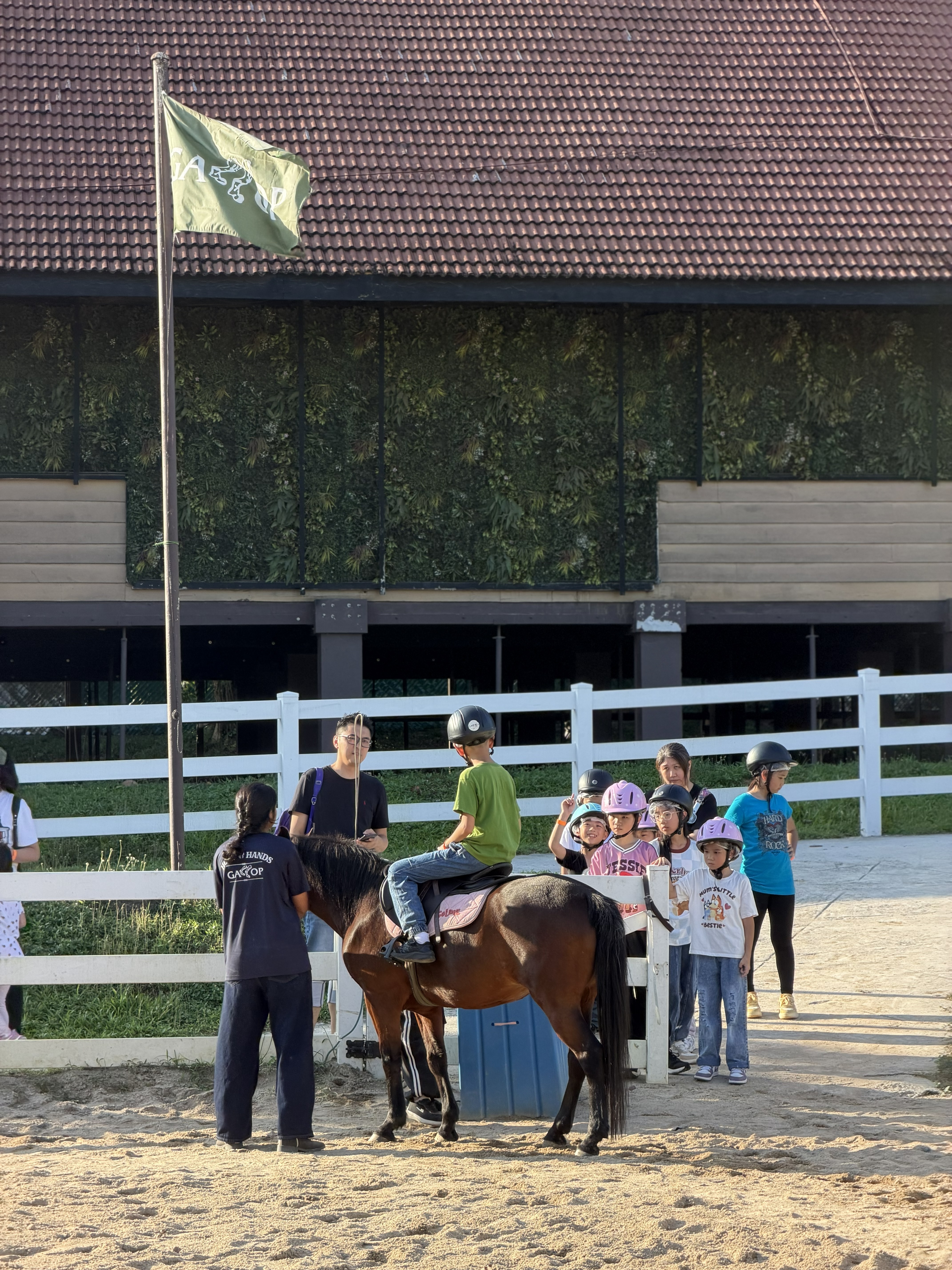 Children taking part in pony feeding