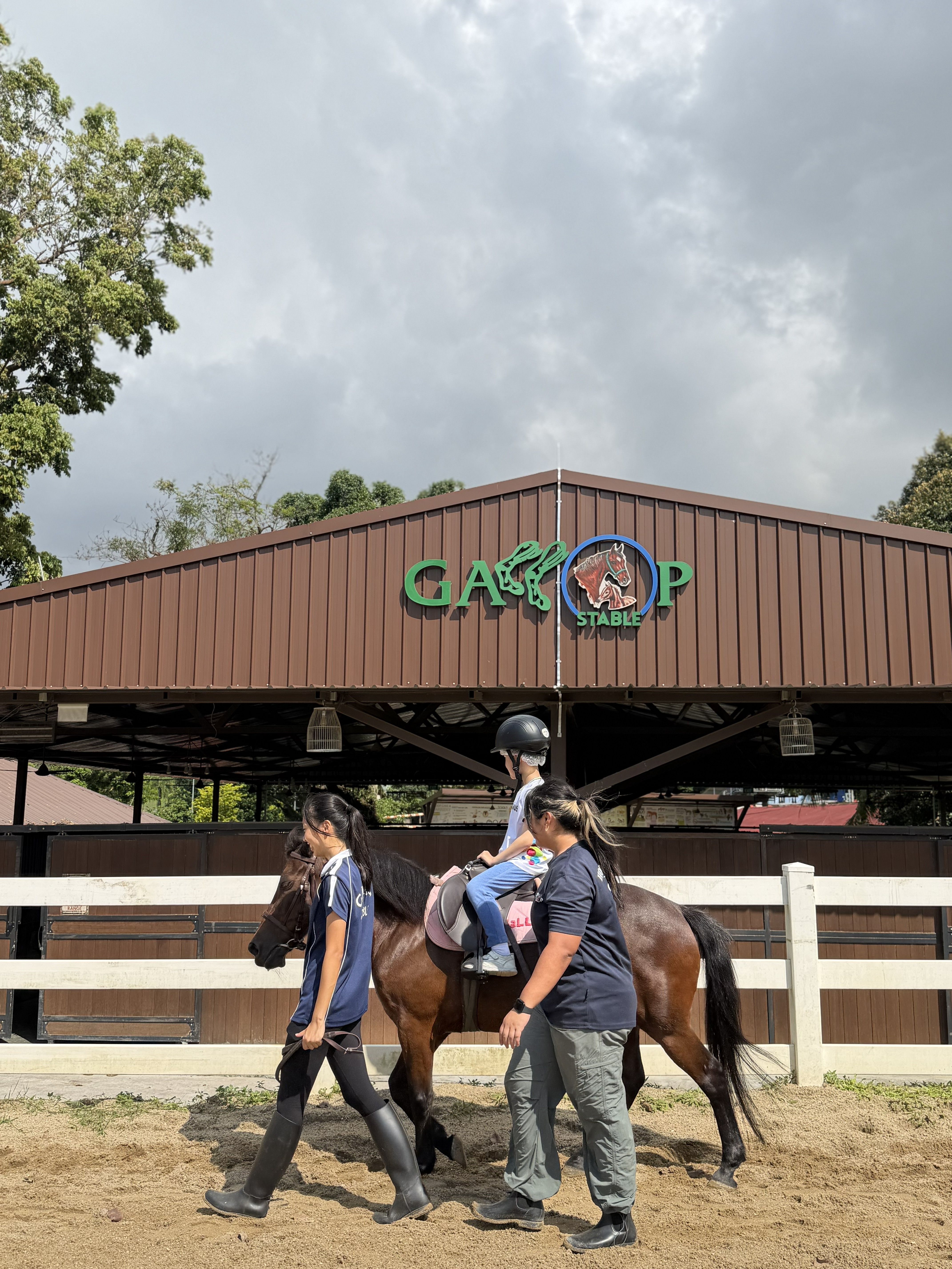 A gentle pony experience for young visitors