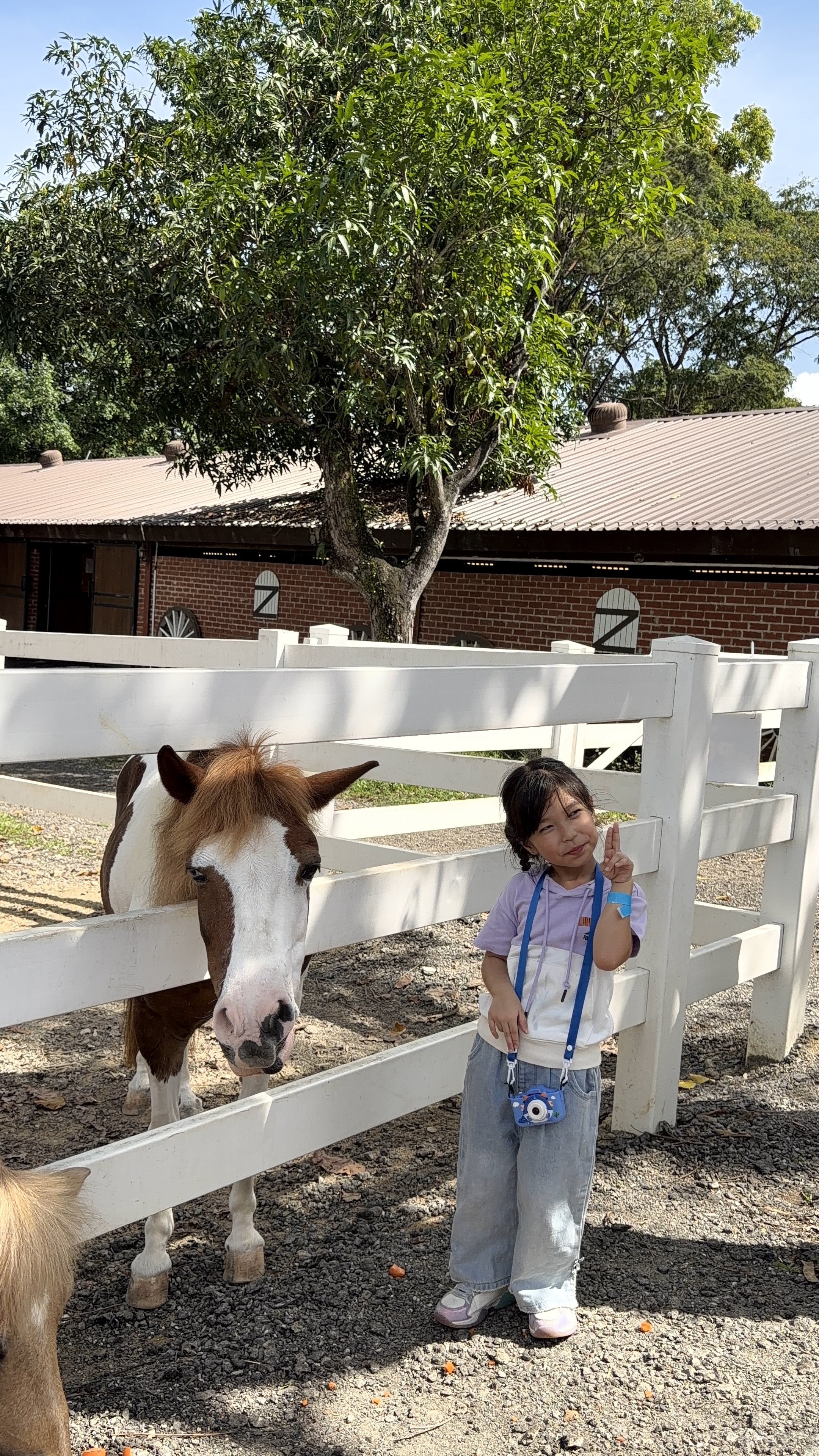 A pony ride with a Gallop Jackuda handler