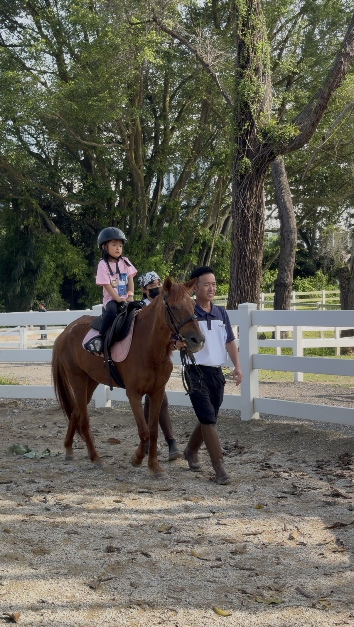 Guests feeding a pony at Gallop Jackuda