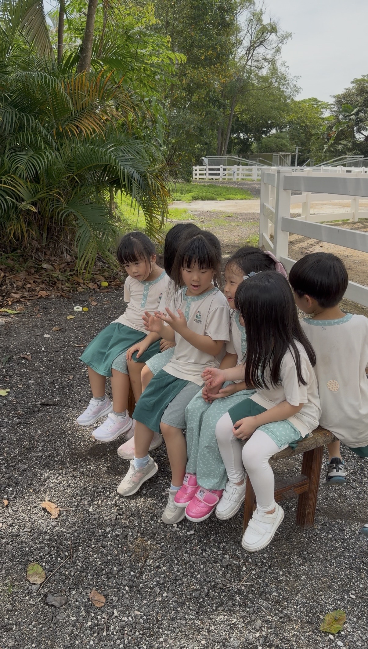 A child meeting a pony during feeding