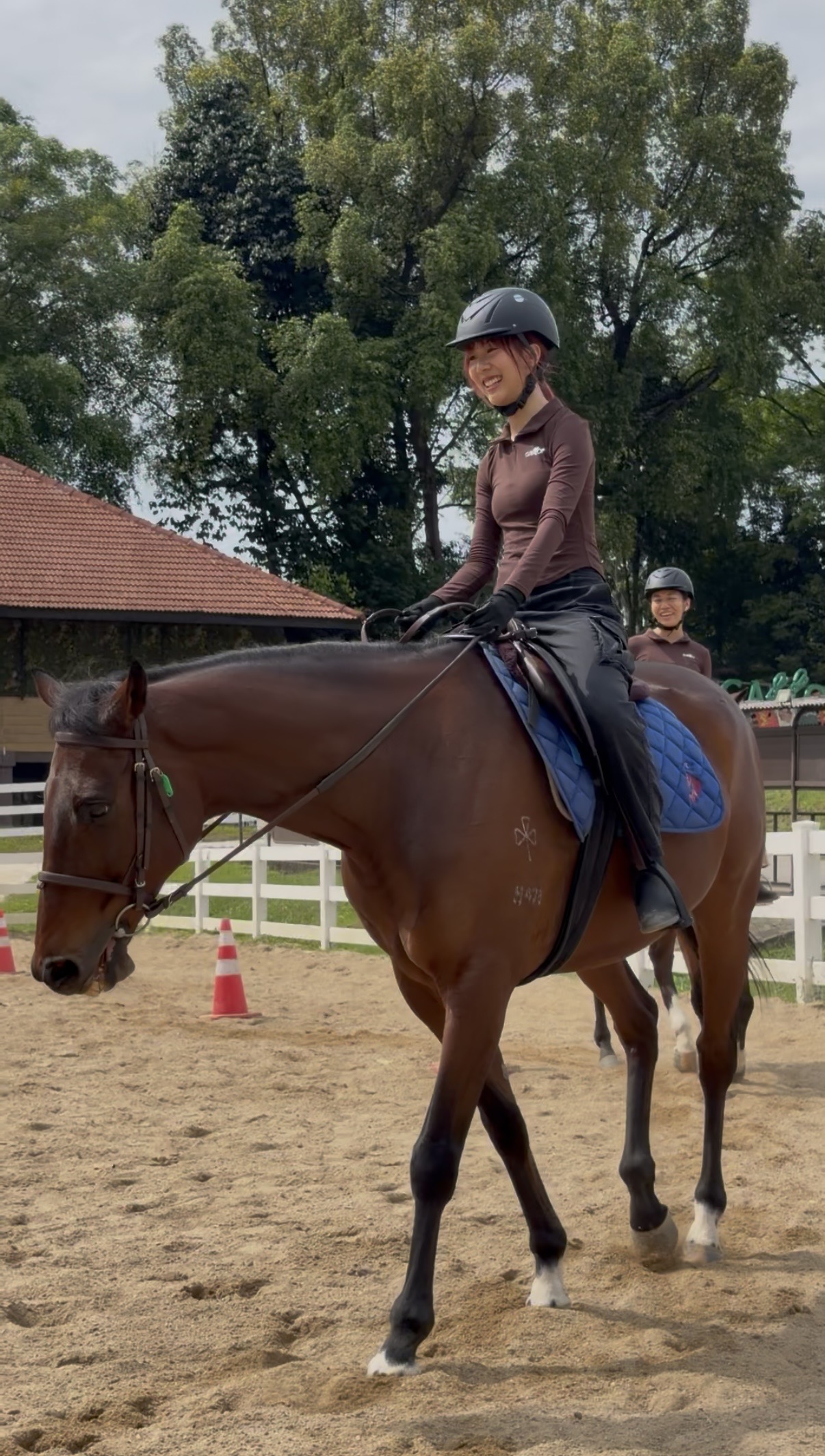 A lesson horse and rider at Gallop Stable
