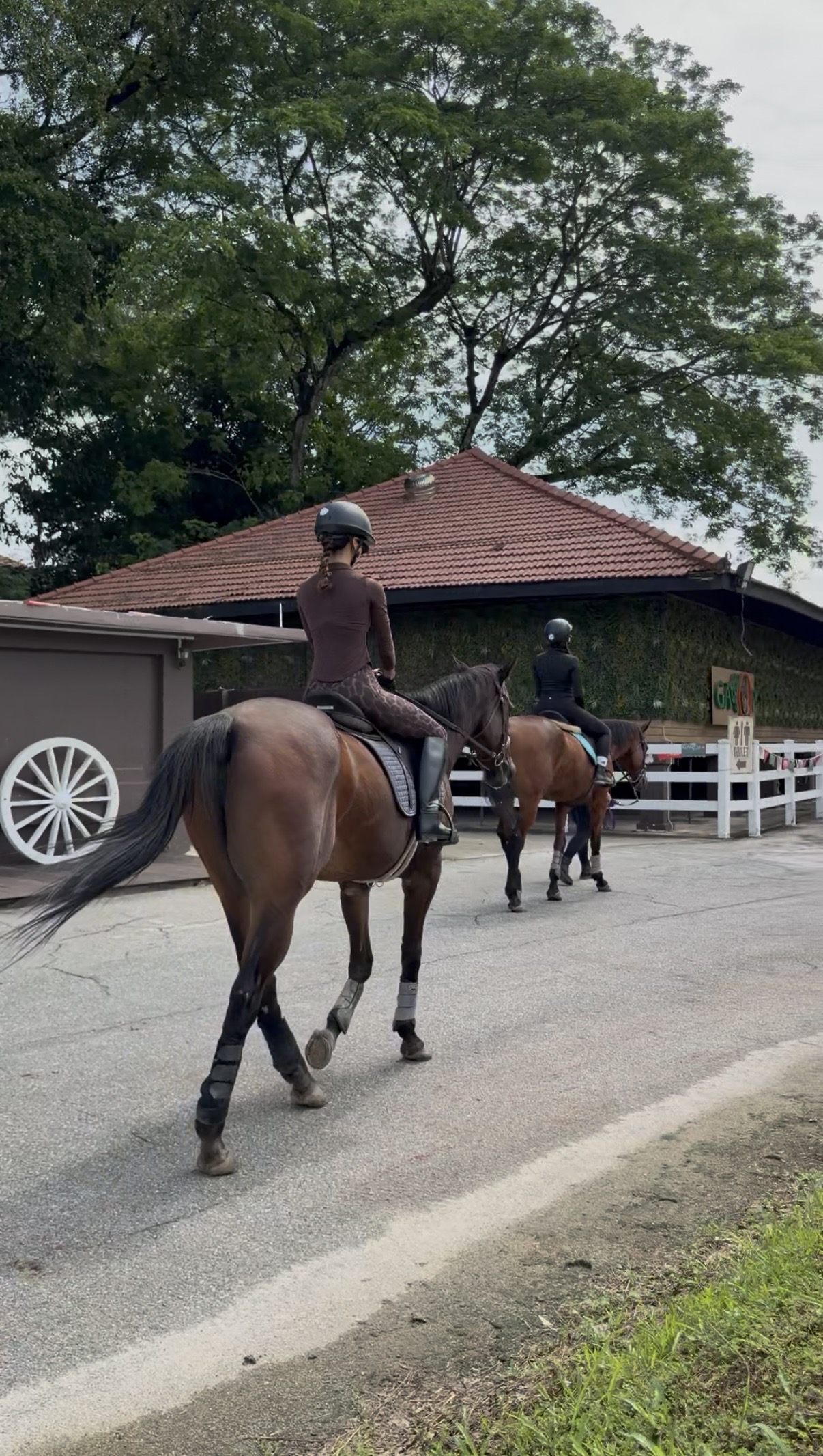 A beginner rider learning horse control