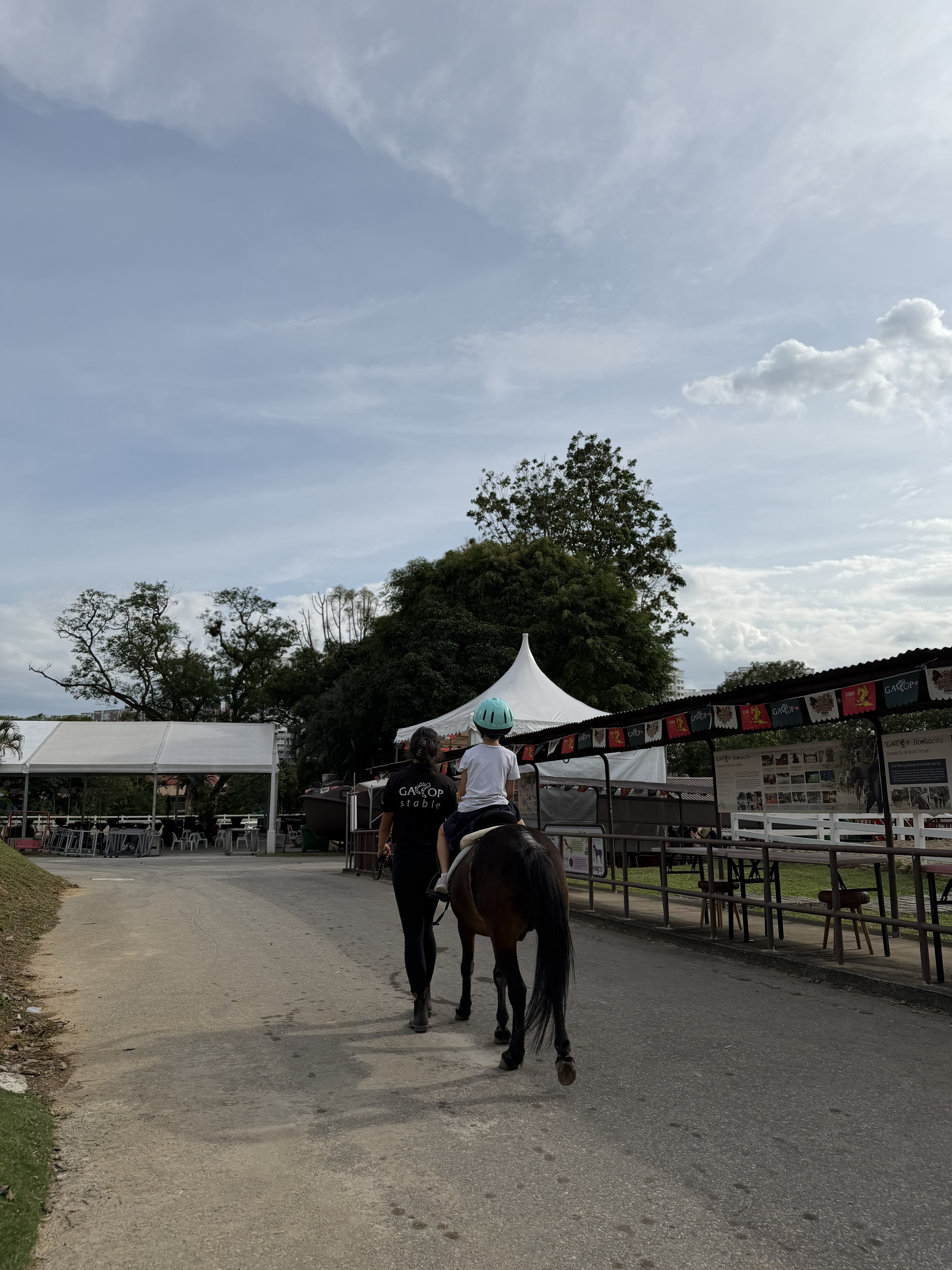 A riding student working with a horse