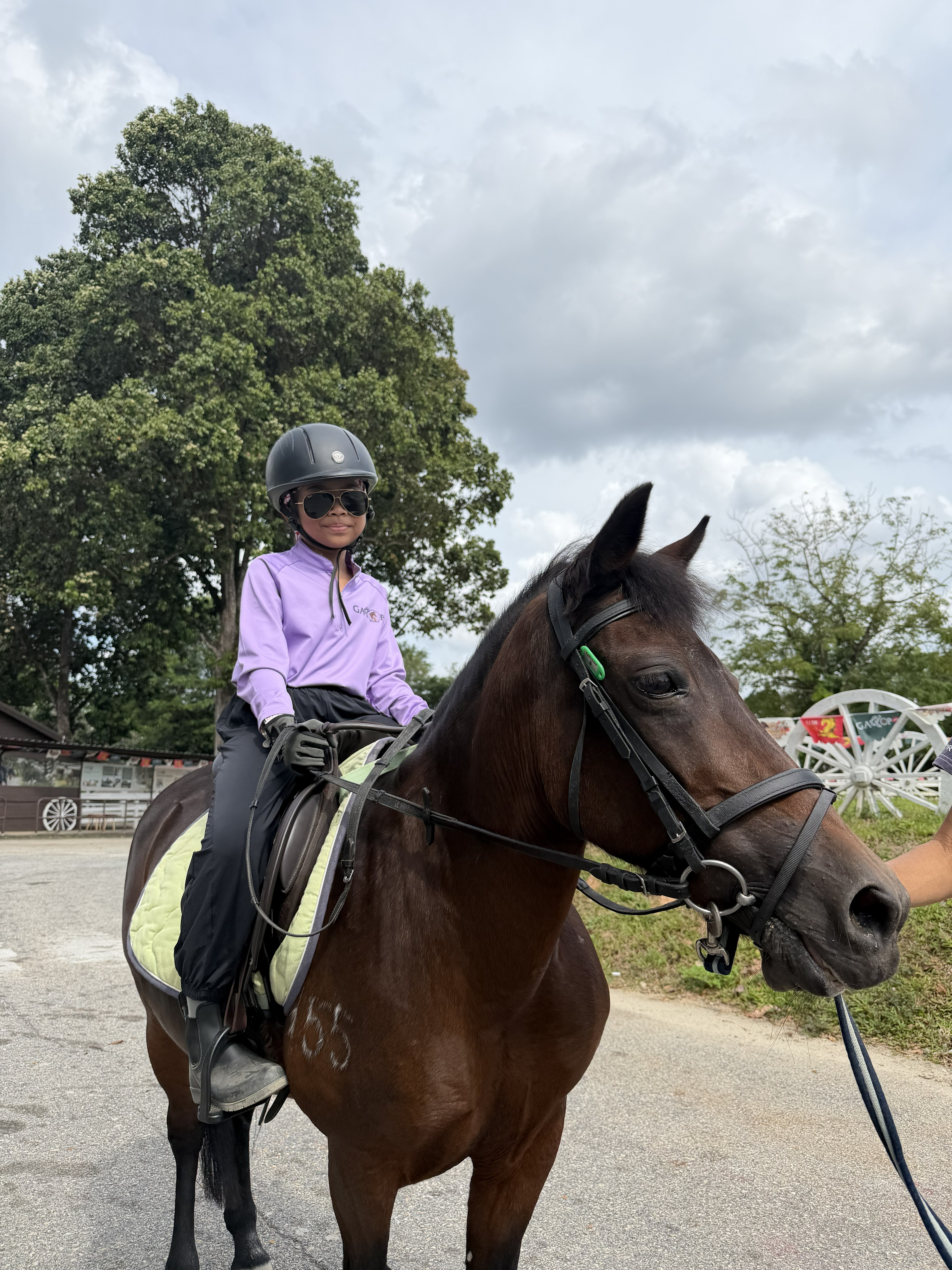 A rider developing confidence in a lesson