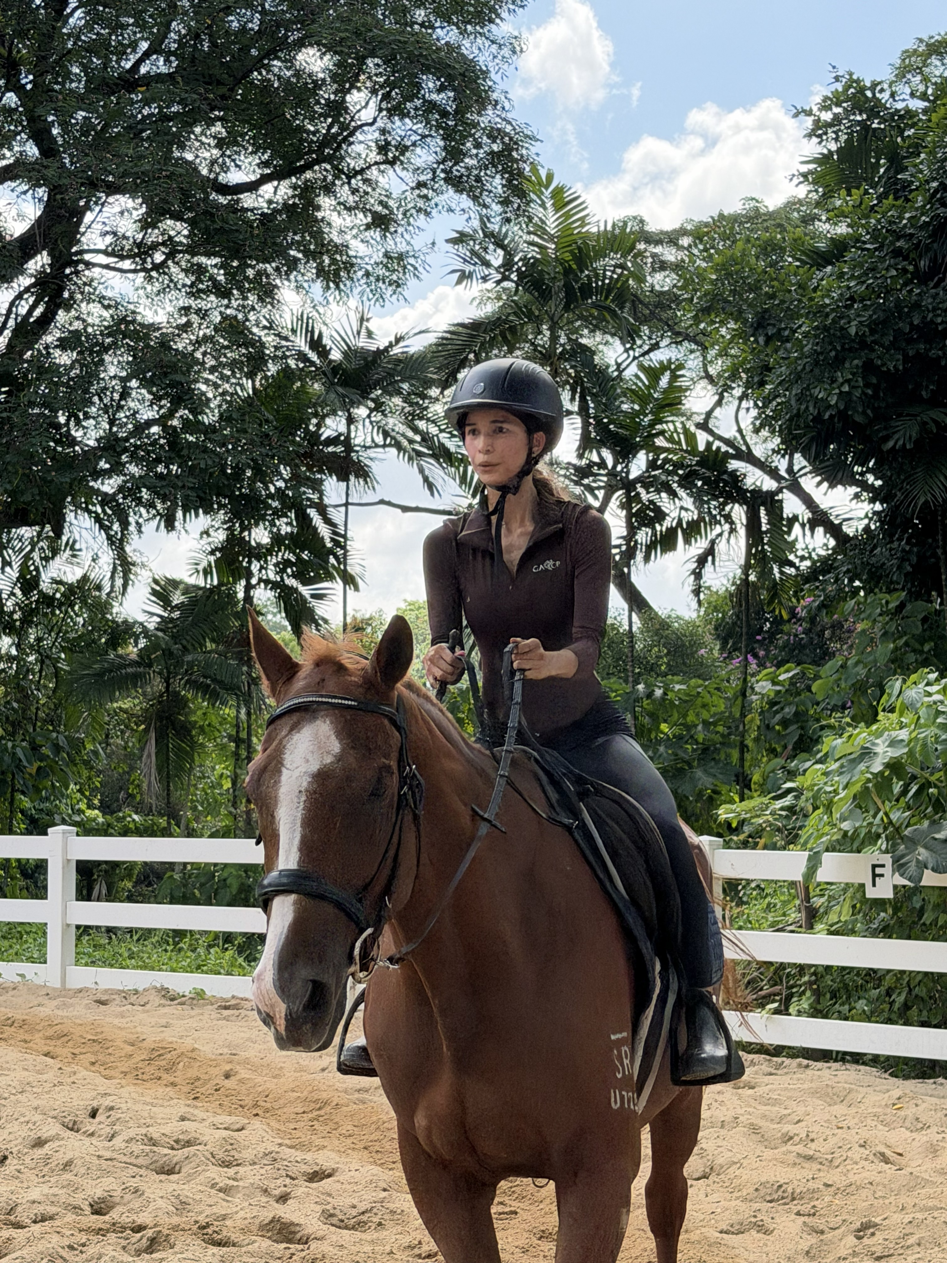 A riding lesson with a Gallop Stable horse