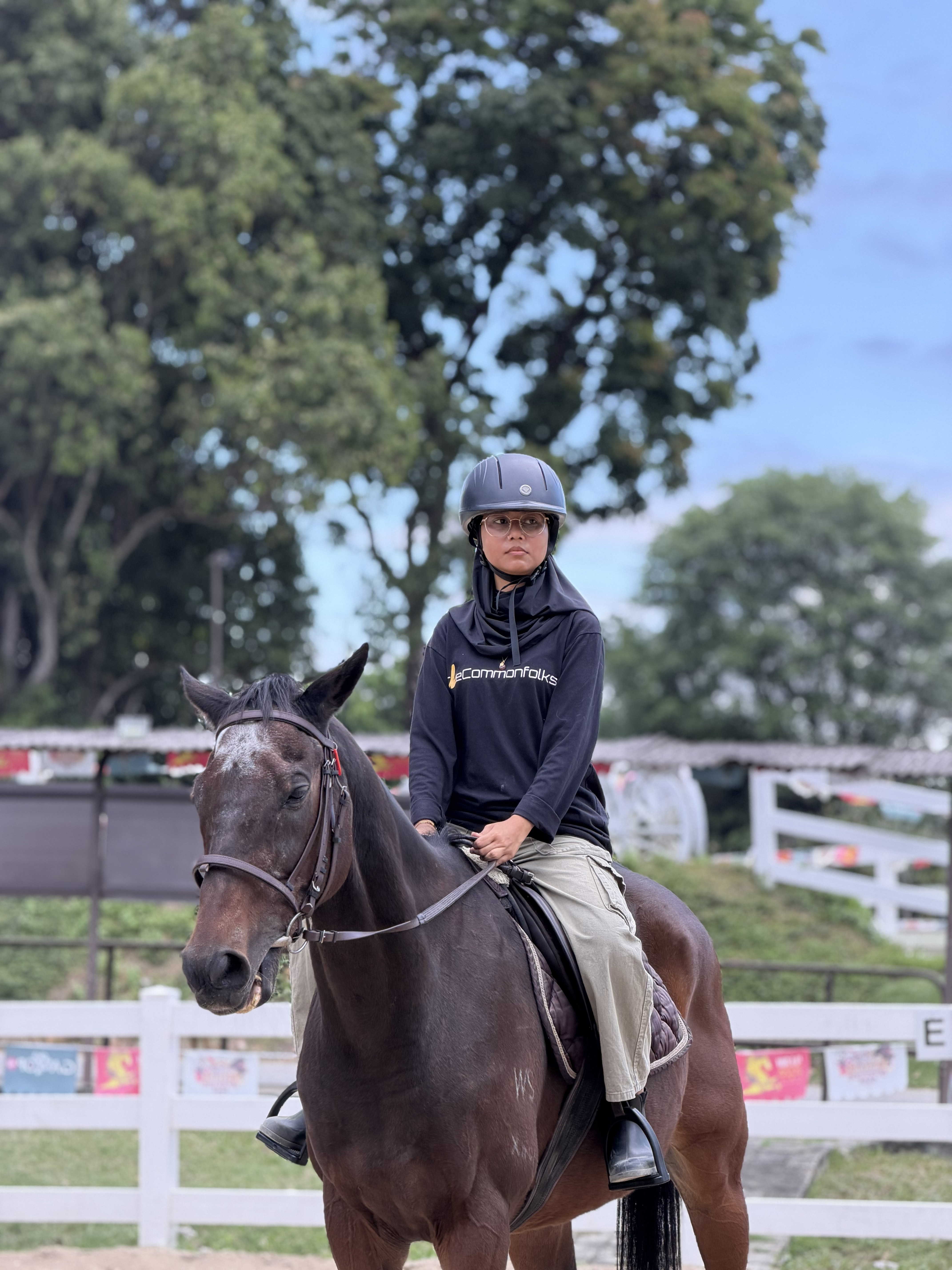 A Gallop Stable riding lesson activity
