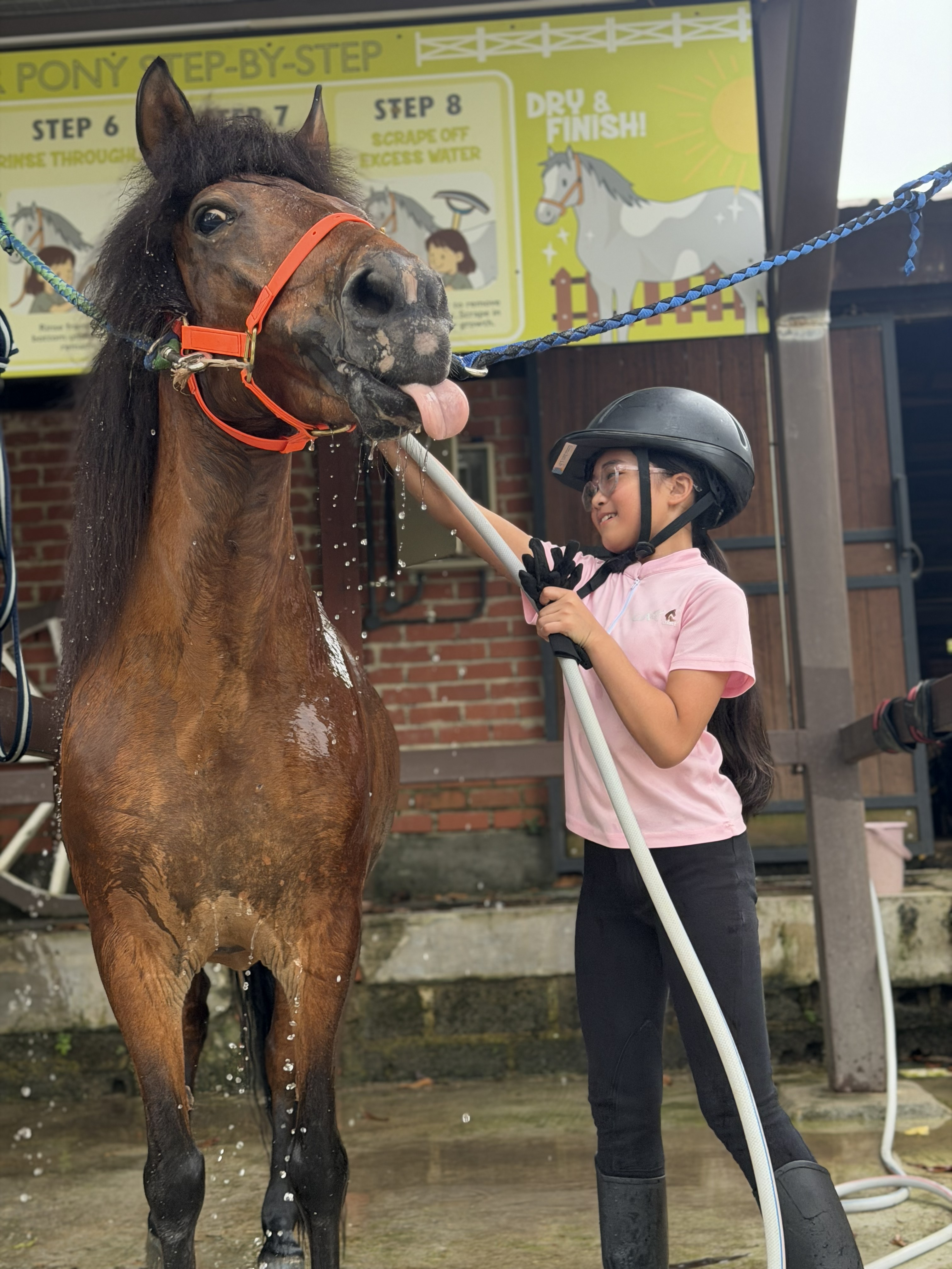A recent riding lesson moment