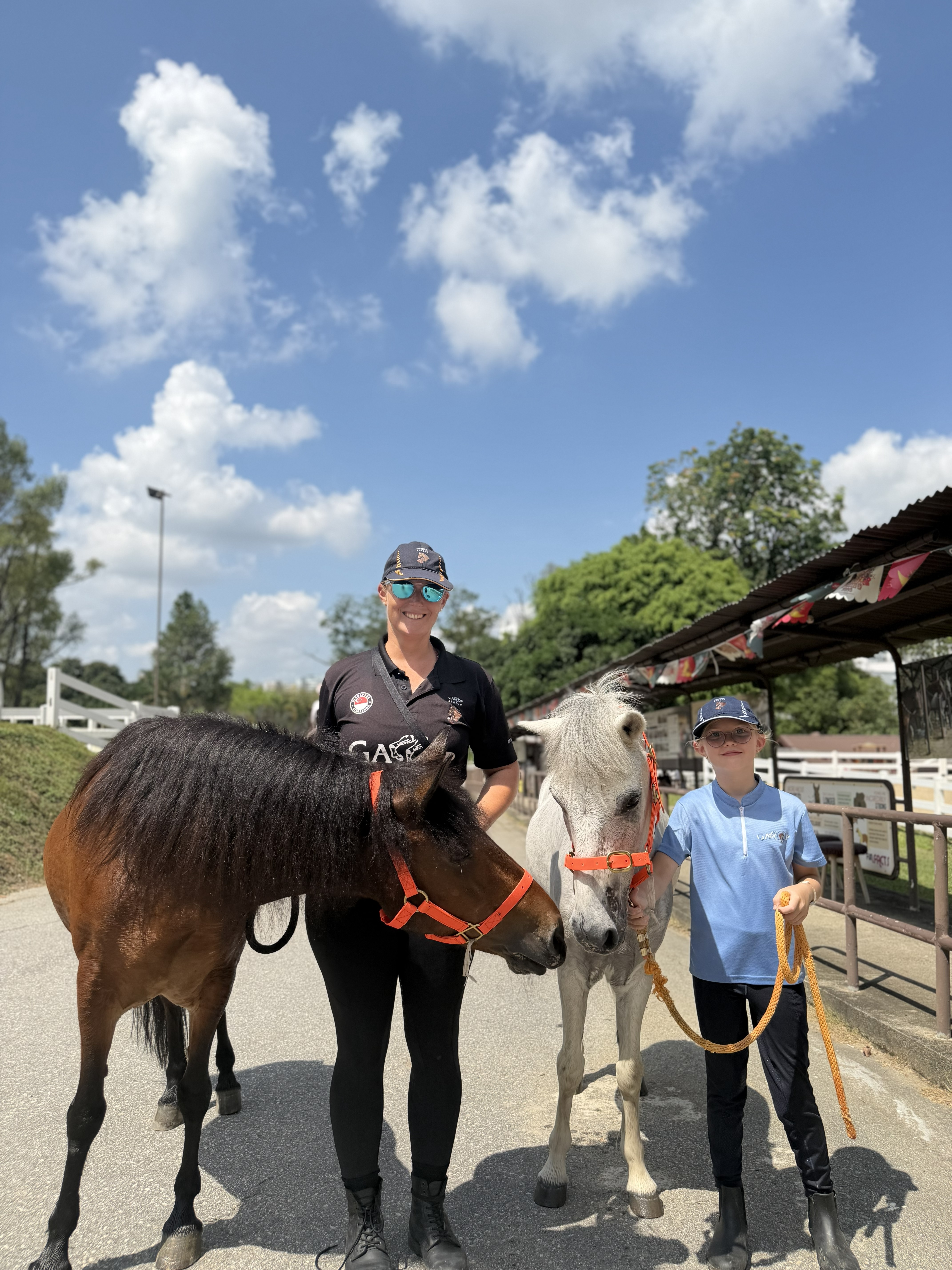A horse and rider during training