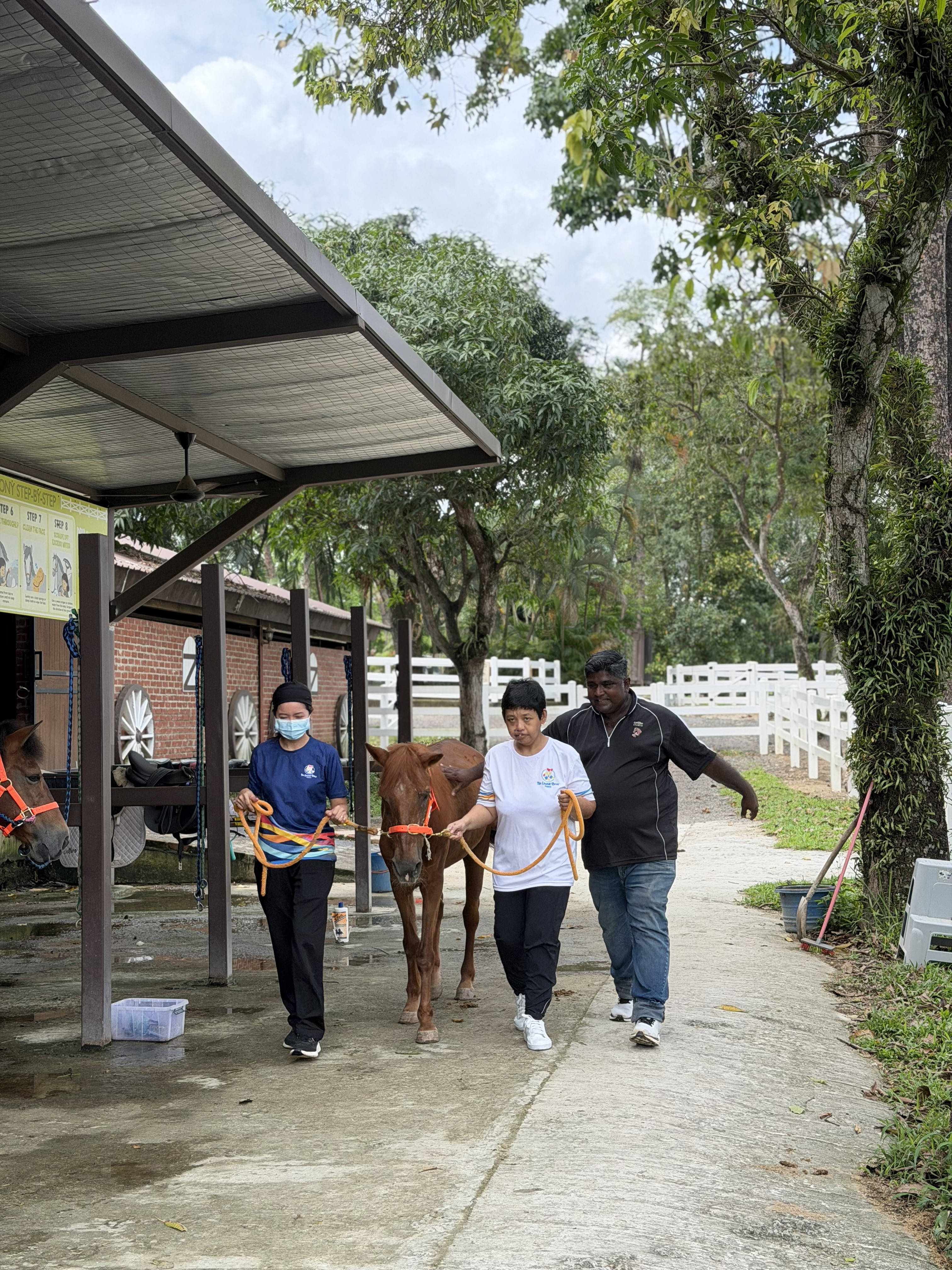 A guided Gallop Cares activity with horses