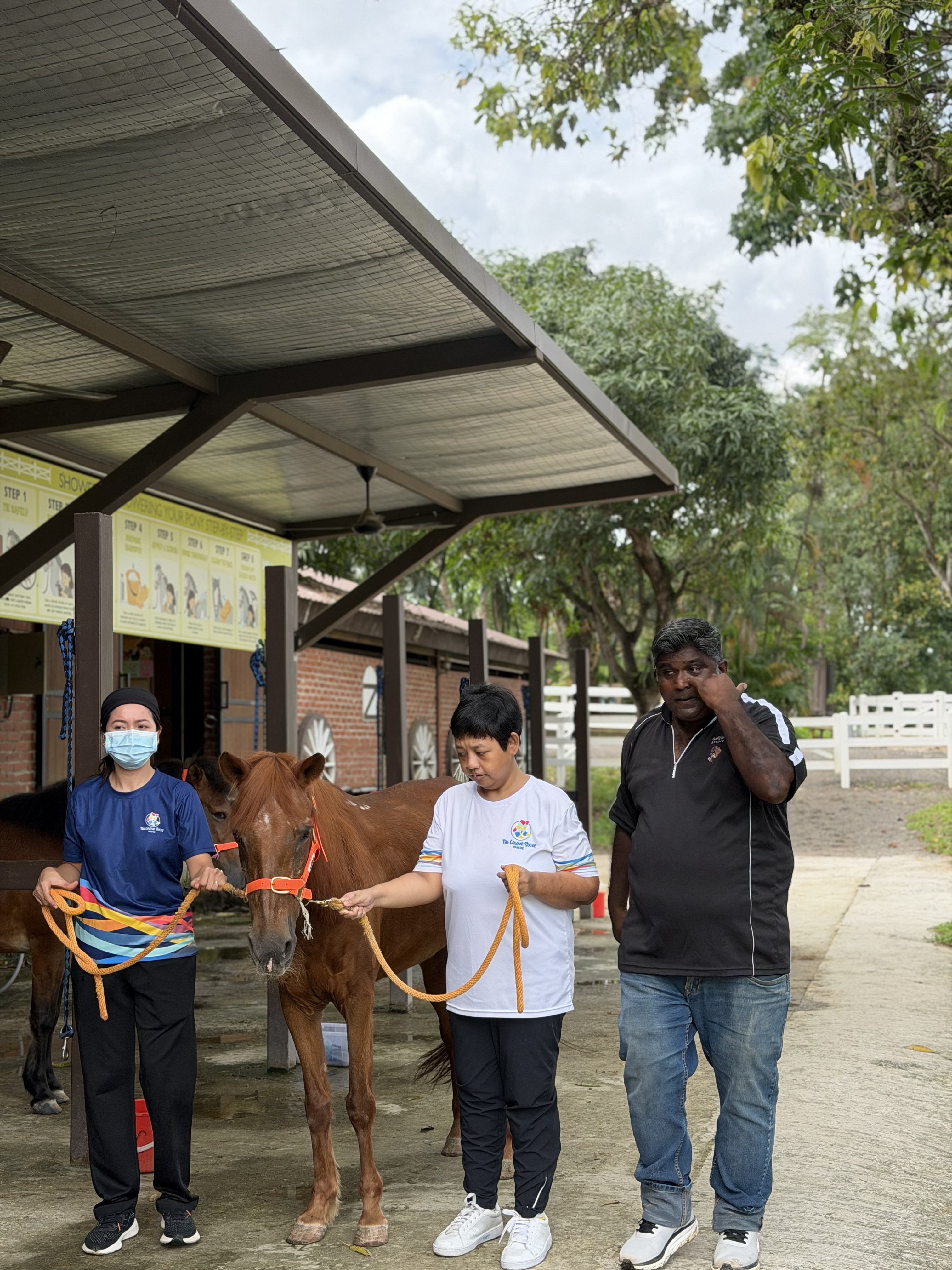 A calm horse interaction during a Gallop Cares session