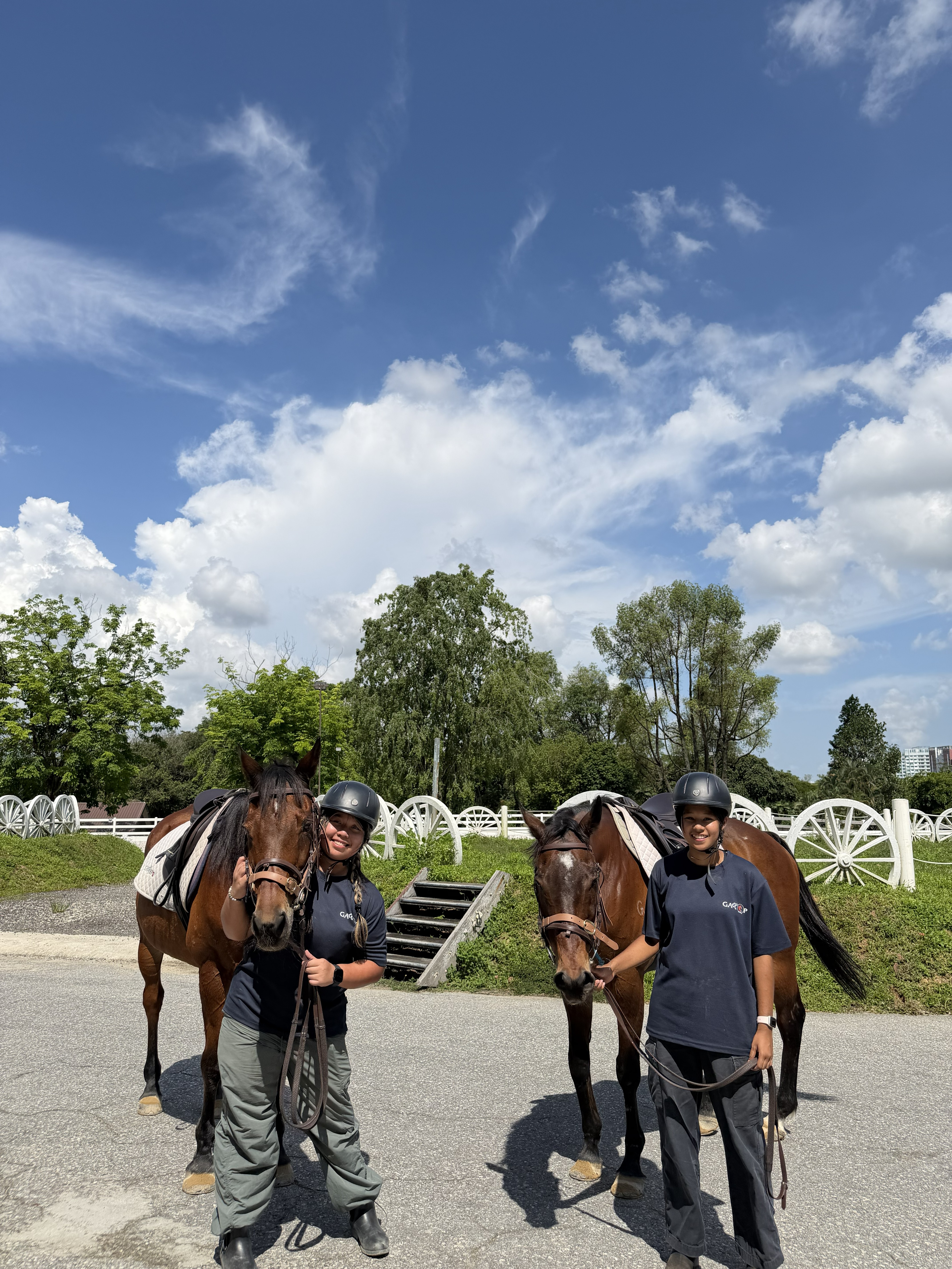 A riding and horse care moment at Gallop Cares