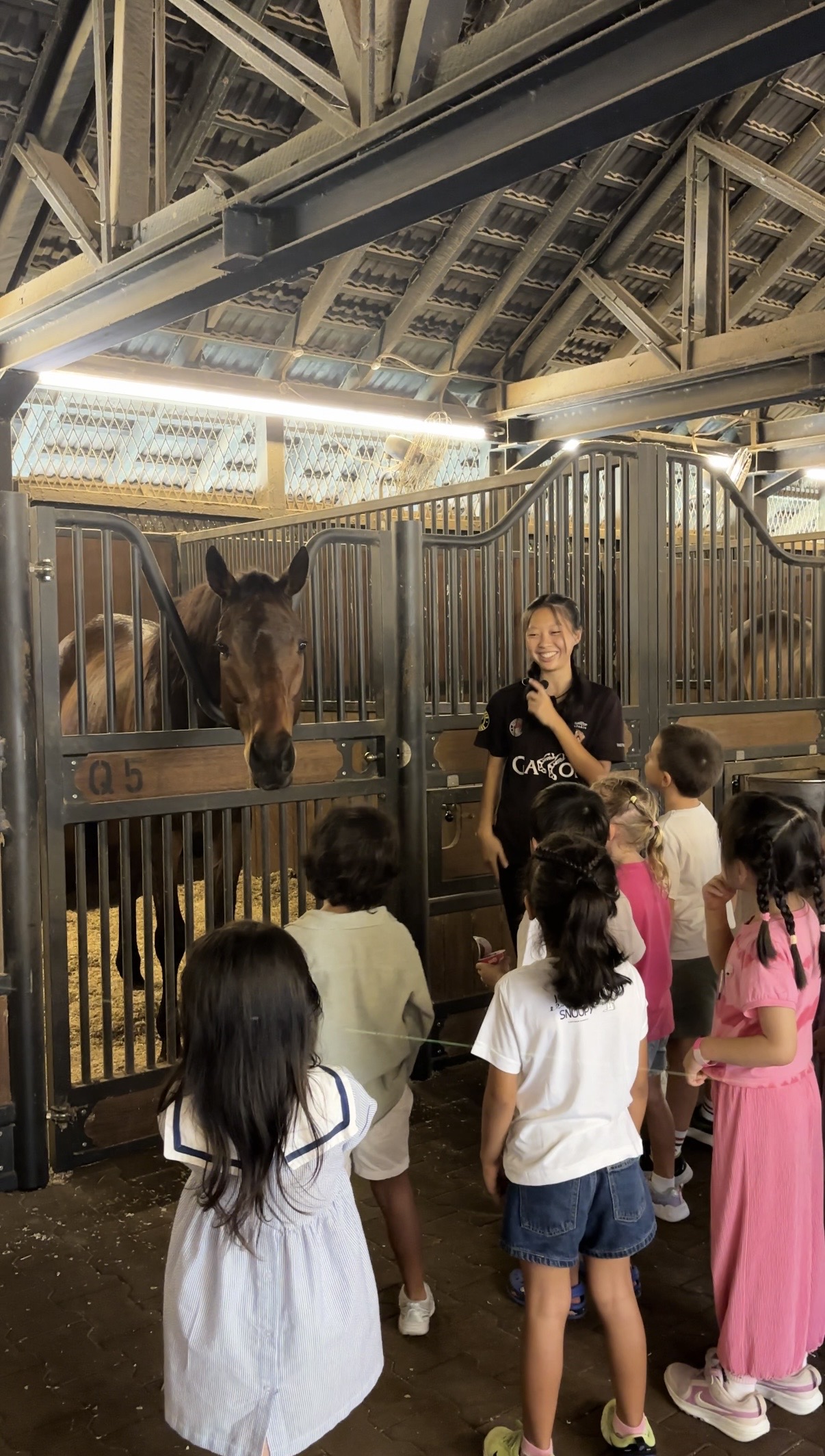 A Gallop Stable tour group meeting the horses