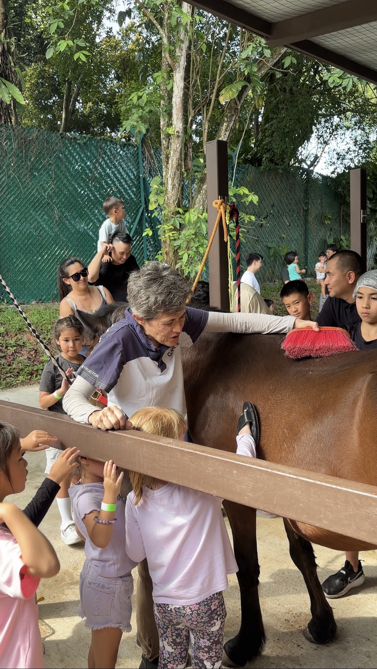 Visitors spending time with a horse at Gallop Stable