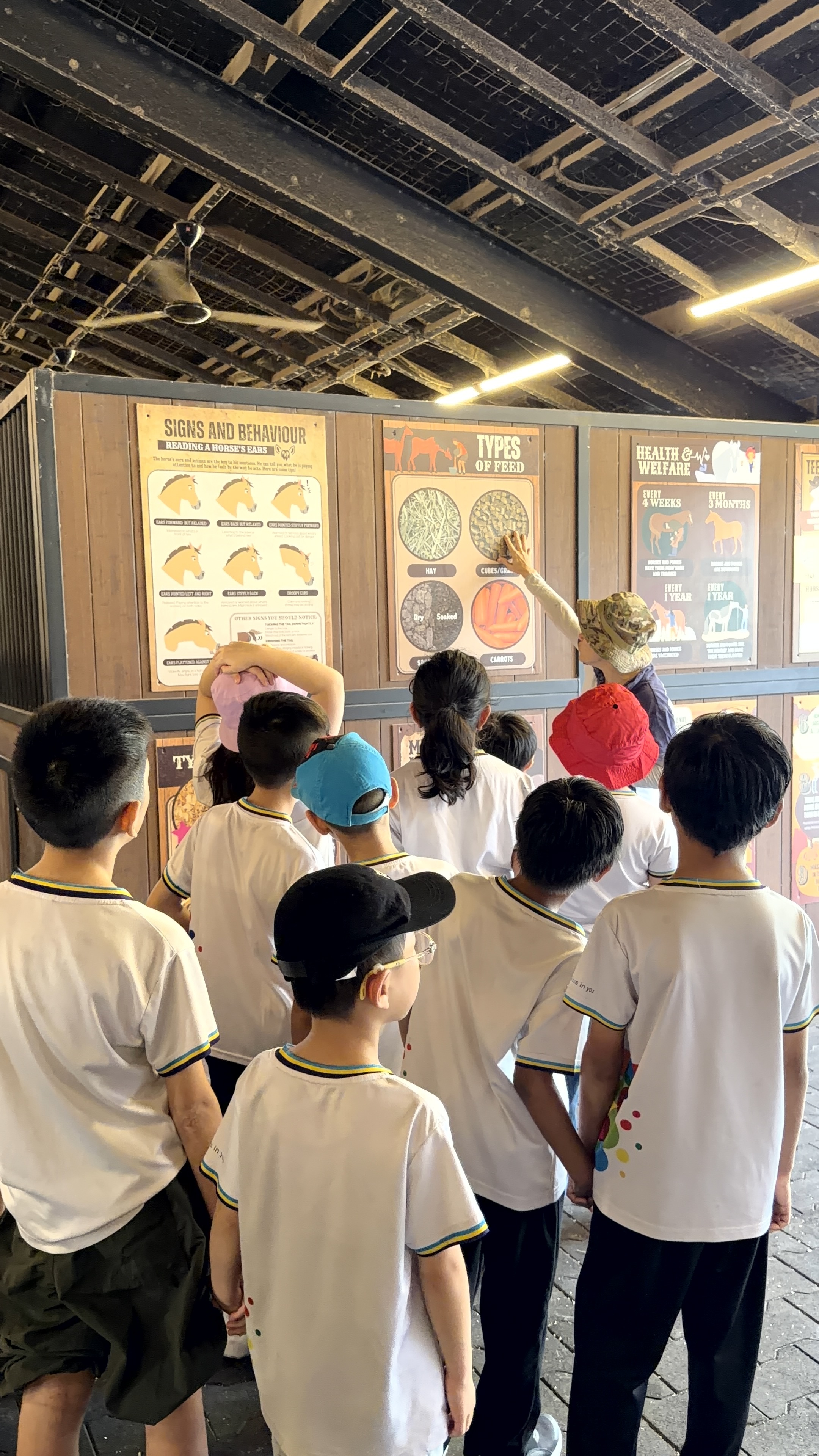 Visitors joining a stable tour at Gallop Stable