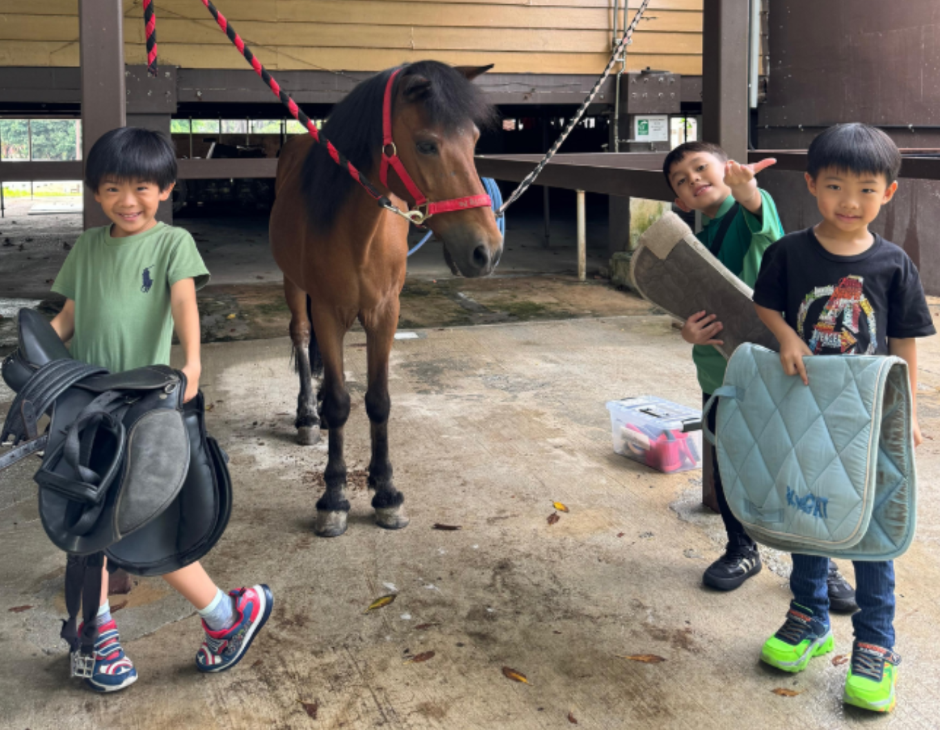 Camps and workshops