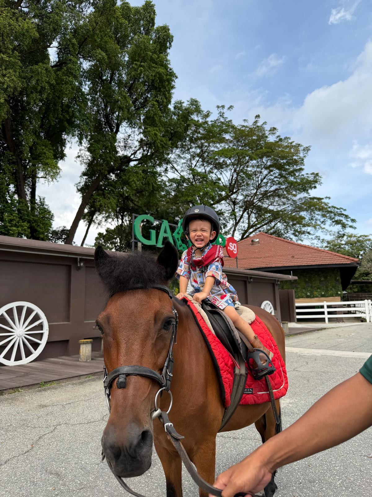 A smiling child riding a horse
