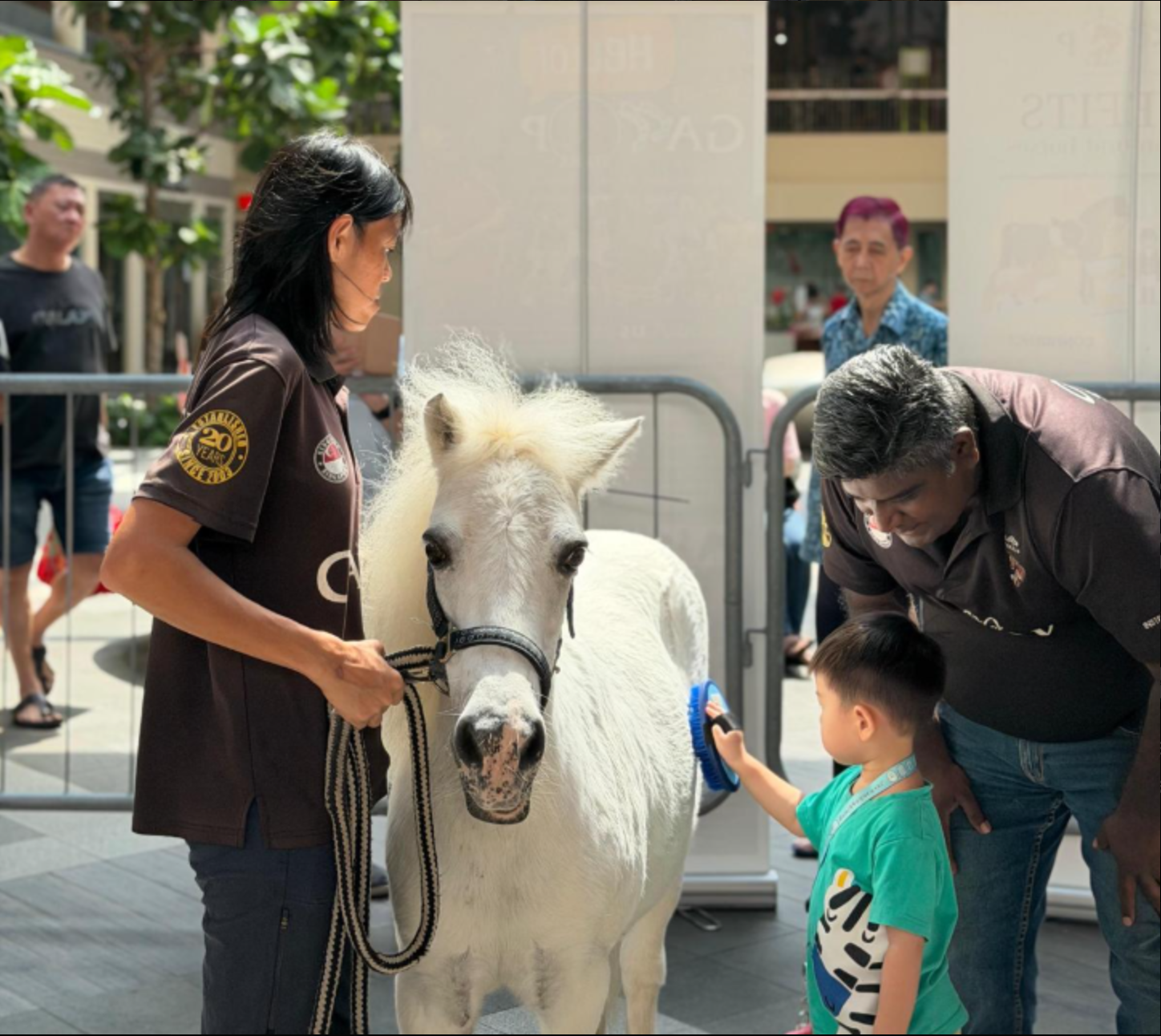 Children spending time with a pony during a care activity