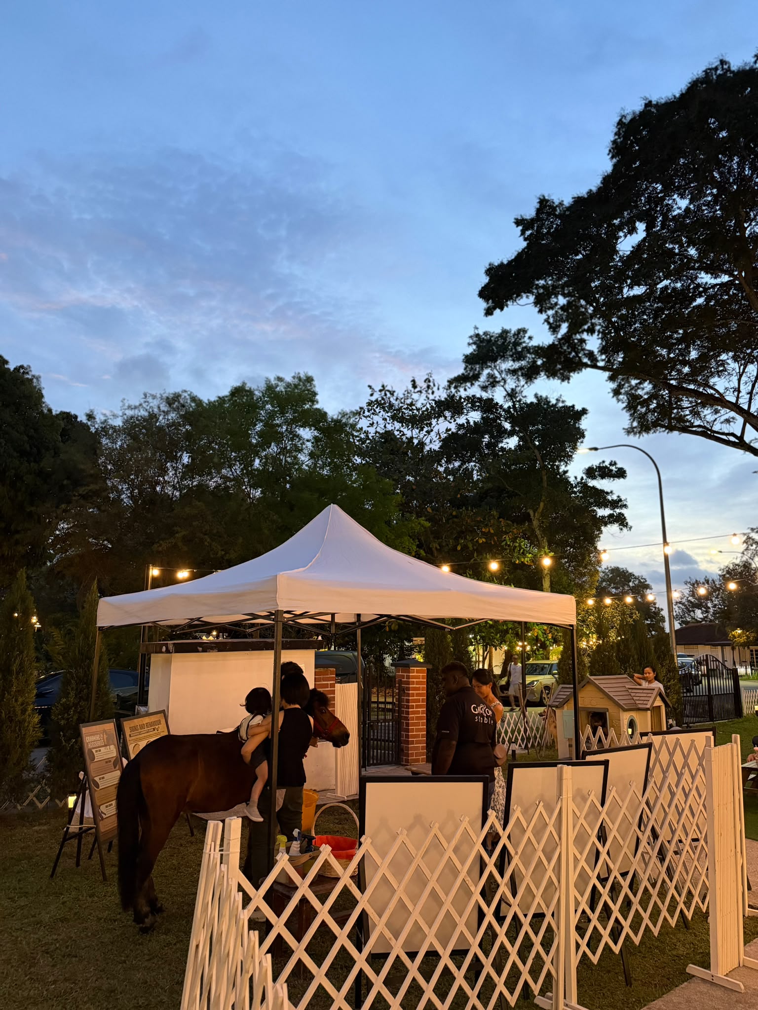 Visitors enjoying Gallop Stable