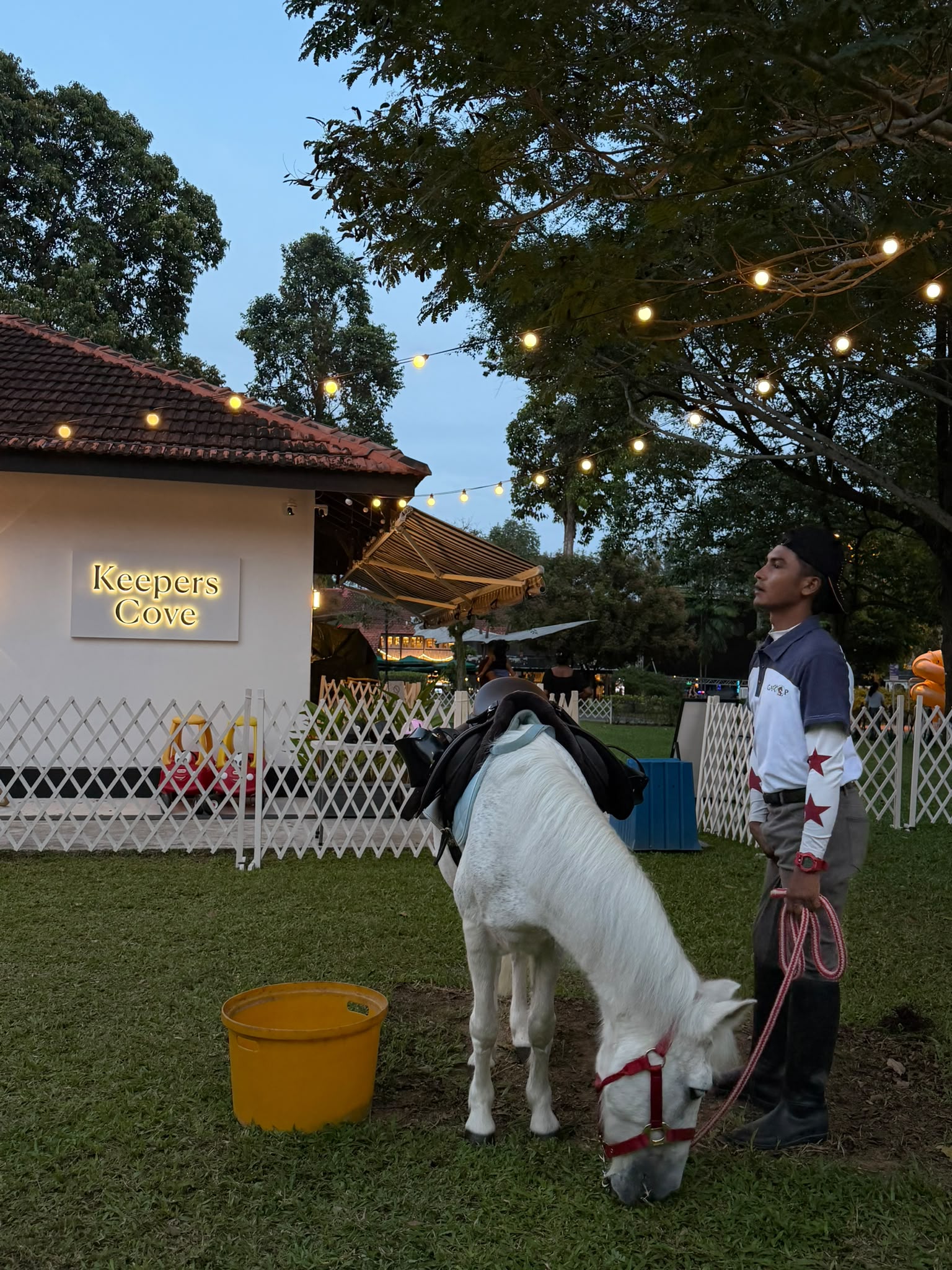 A recent moment with the horses