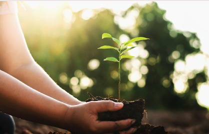 Gallop Green sustainability initiative