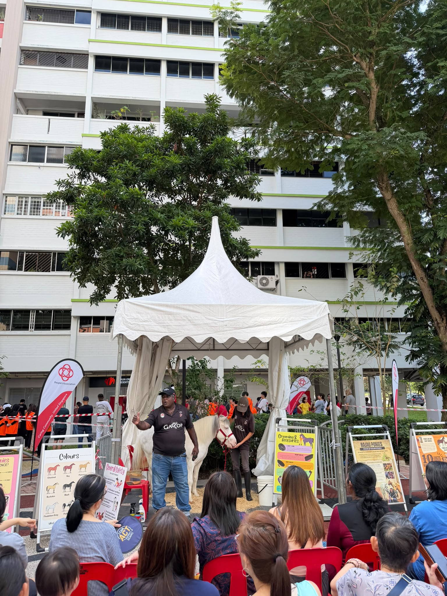 Guests taking part in a group horse experience