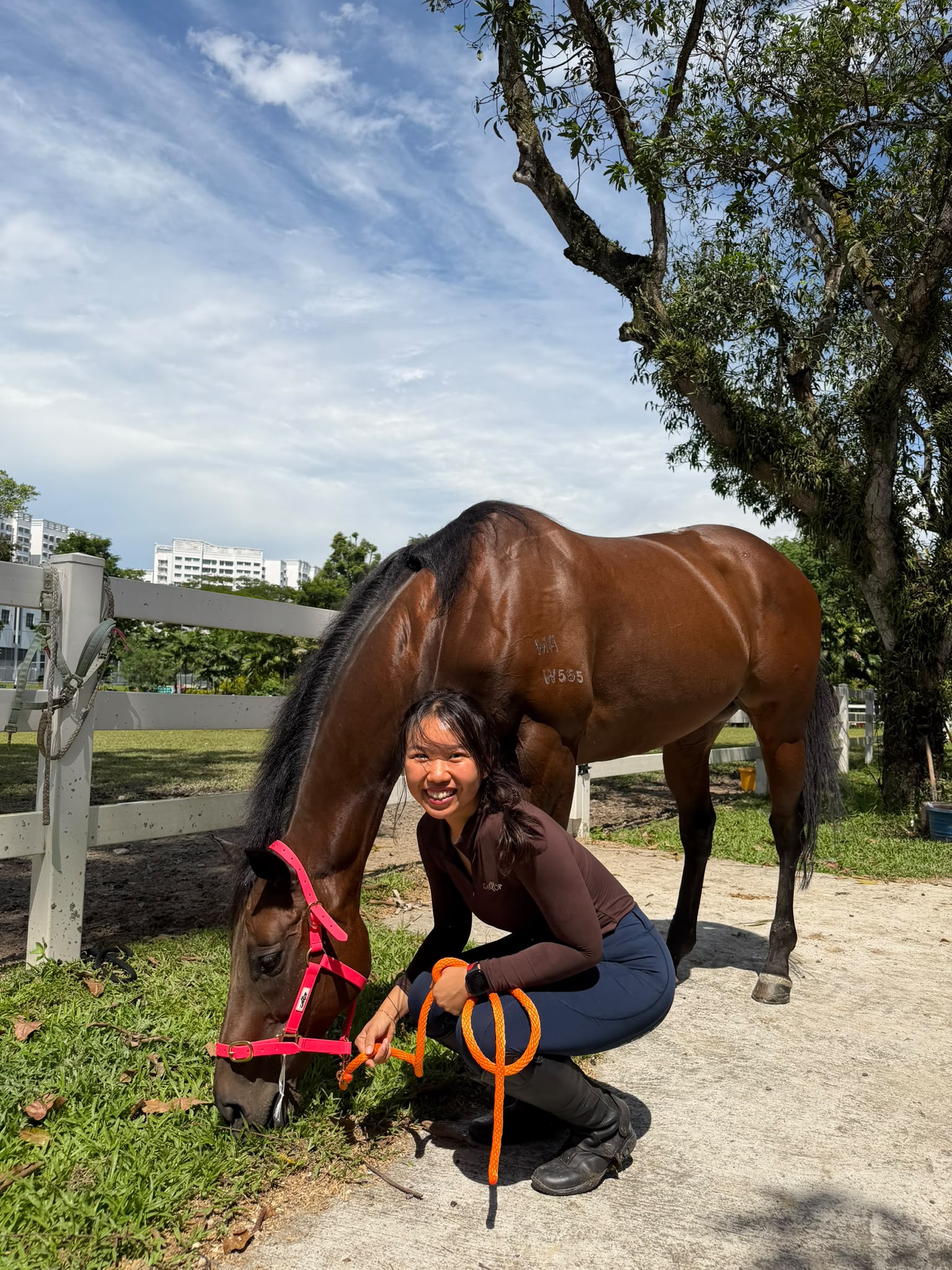 Guests enjoying time with the horses