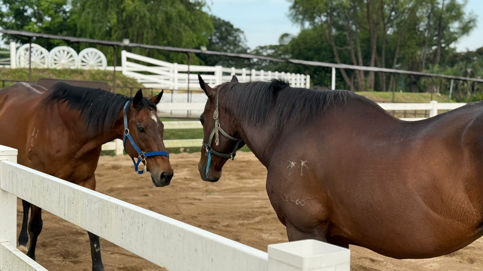 A recent riding activity