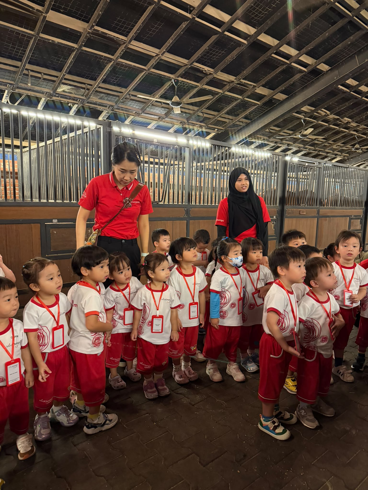 A child learning about pony care