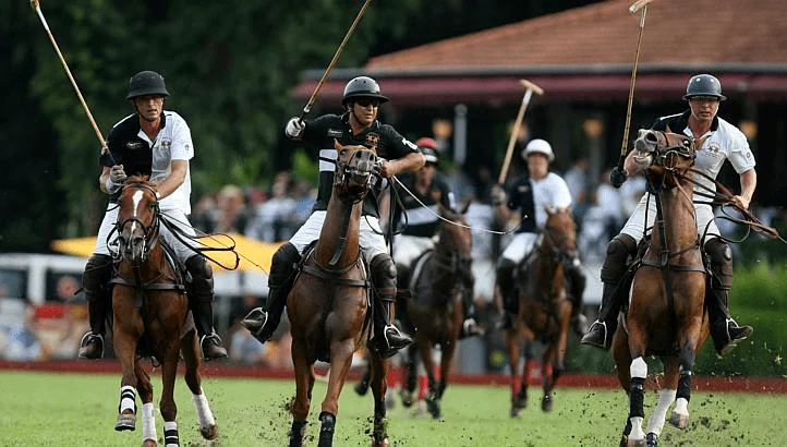 Introductory polo activity