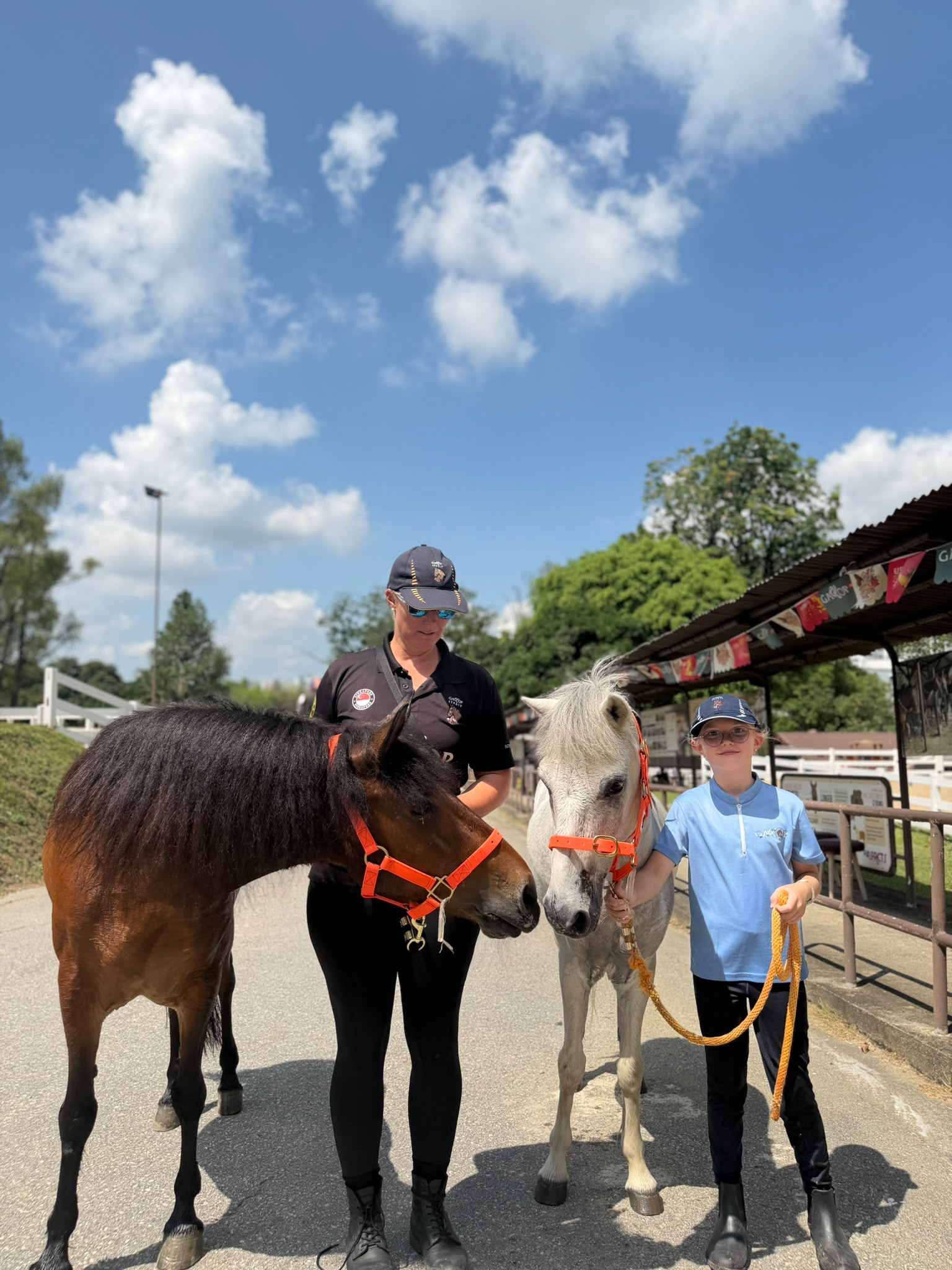 A recent moment at Gallop Stable