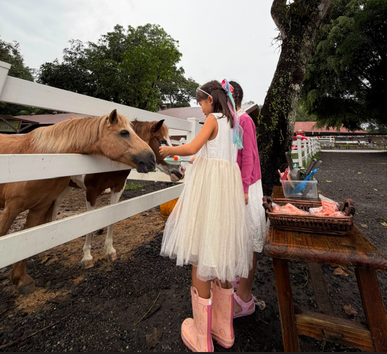 Pony feeding at Gallop Jackuda