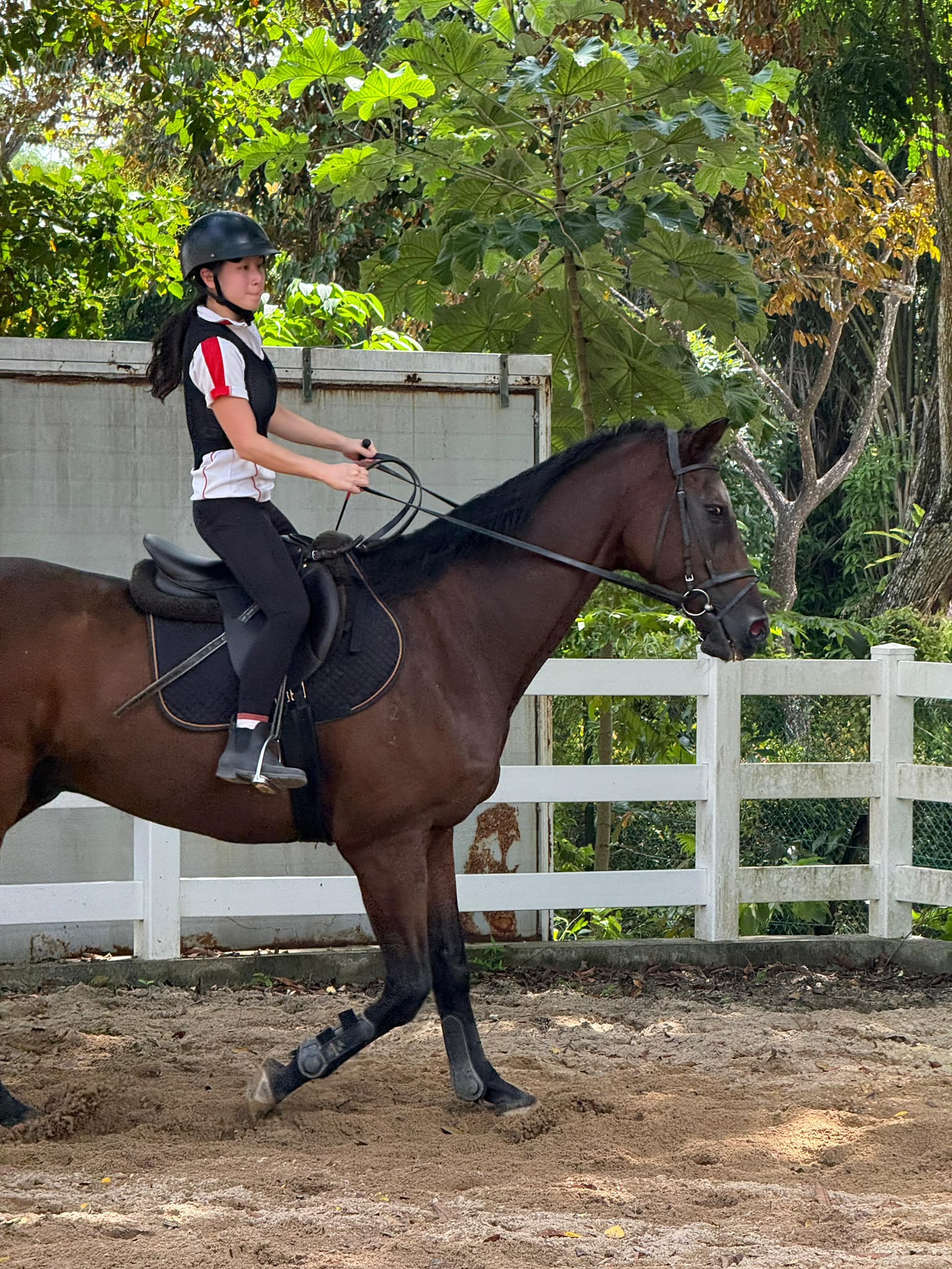 Guests spending time with a horse