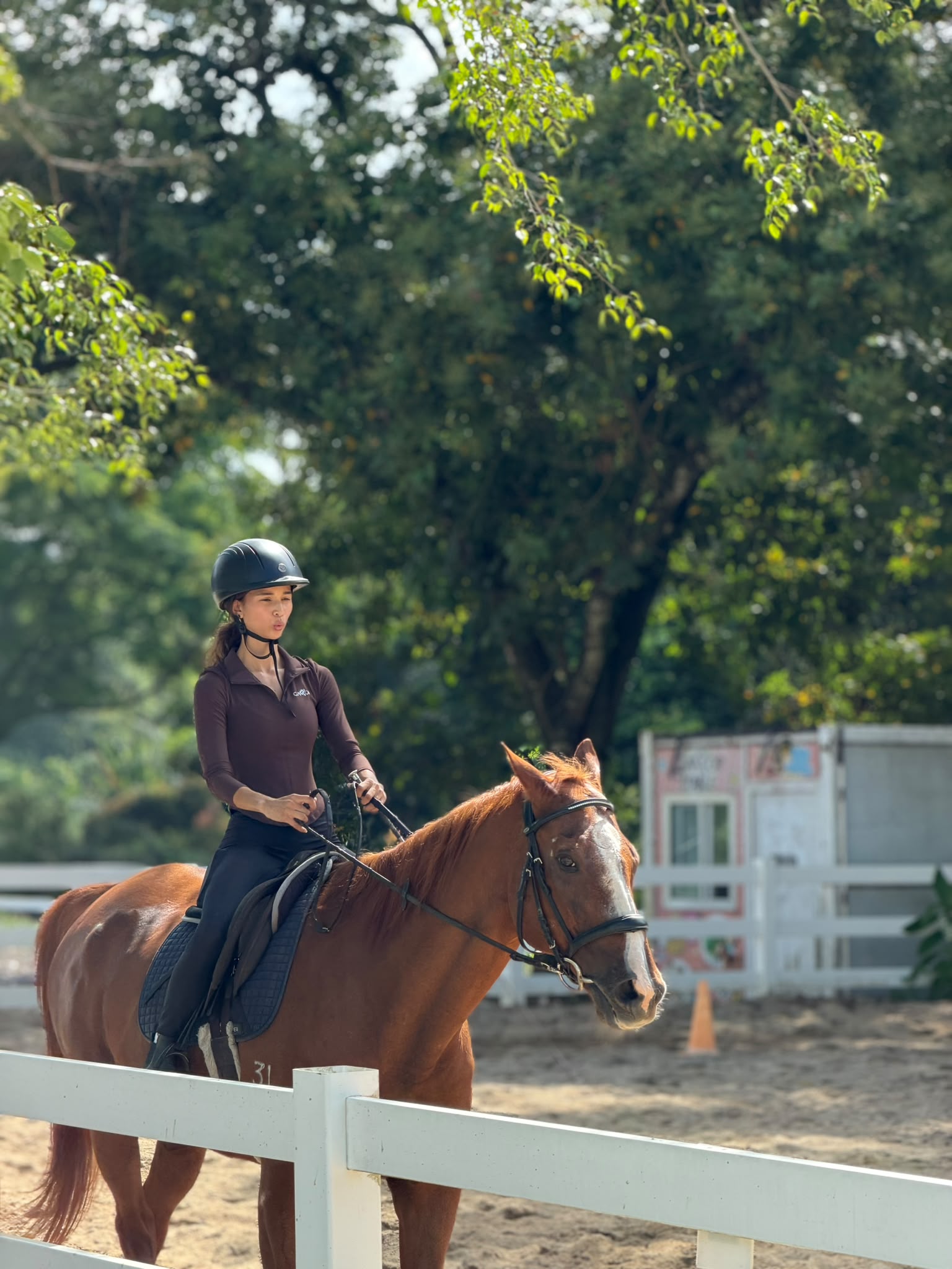 A Gallop Stable community moment