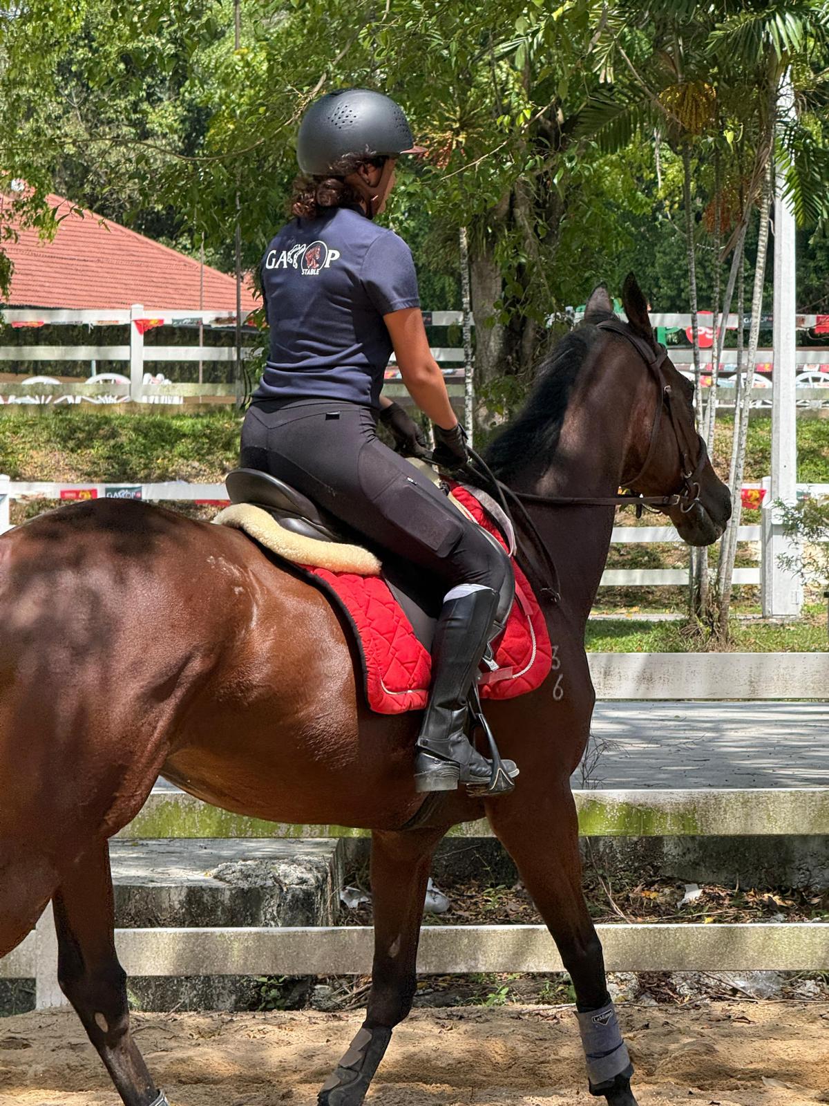 A rider training on horseback