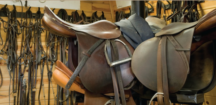 Equestrian saddlery and riding equipment