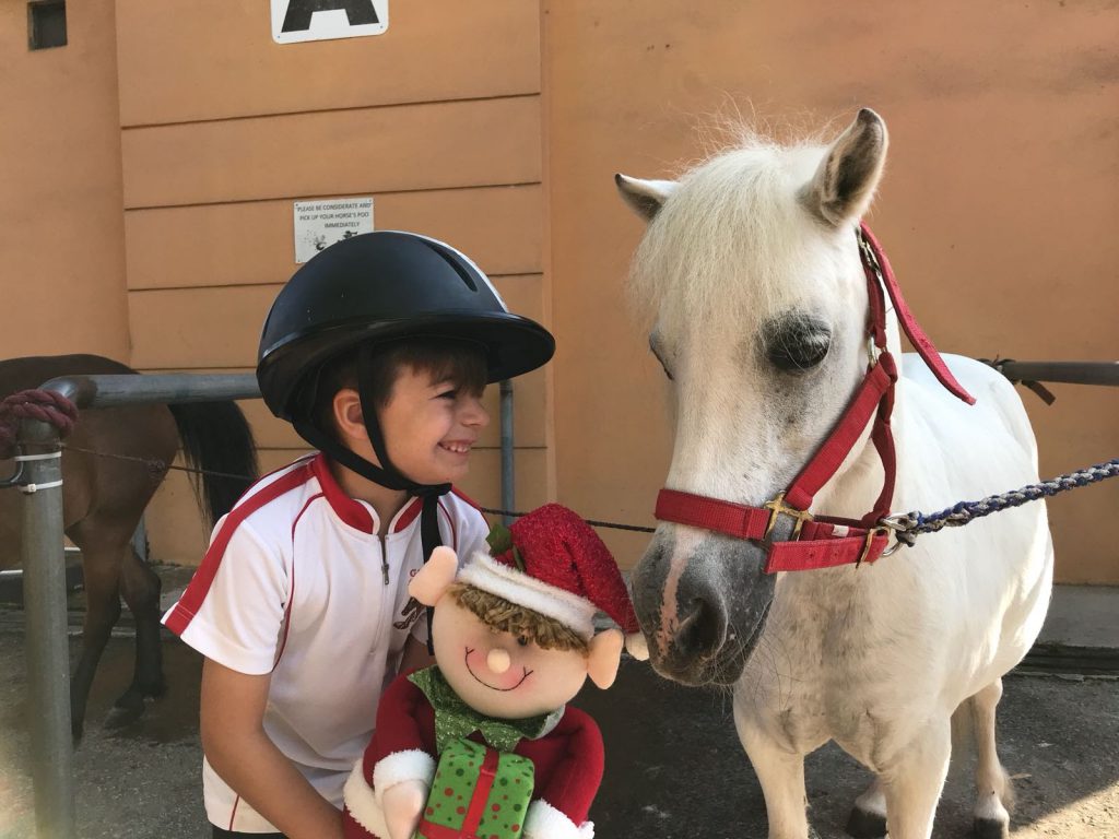 A child spending time with a pony at Gallop Stable
