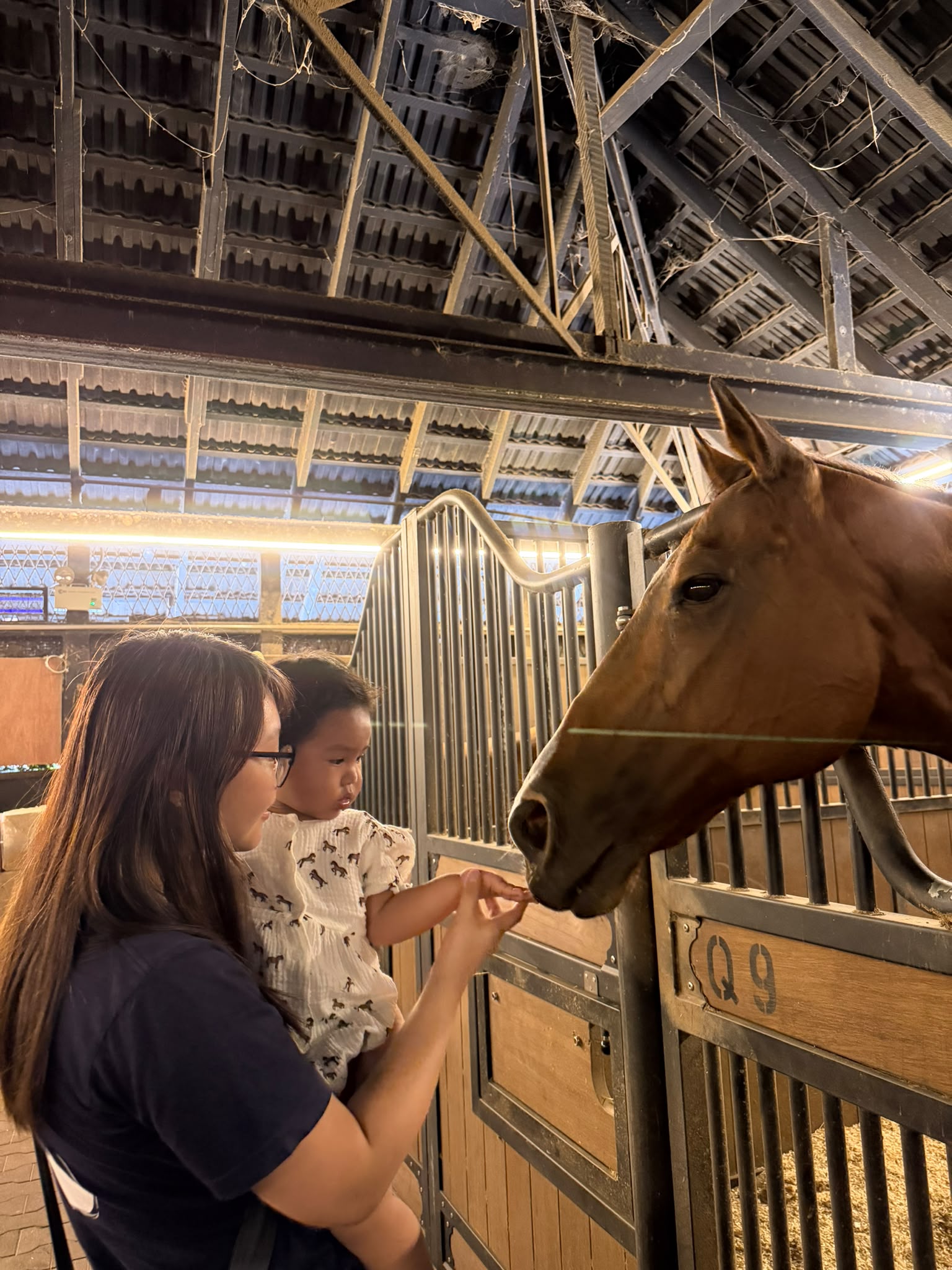 Guests sharing a stable experience