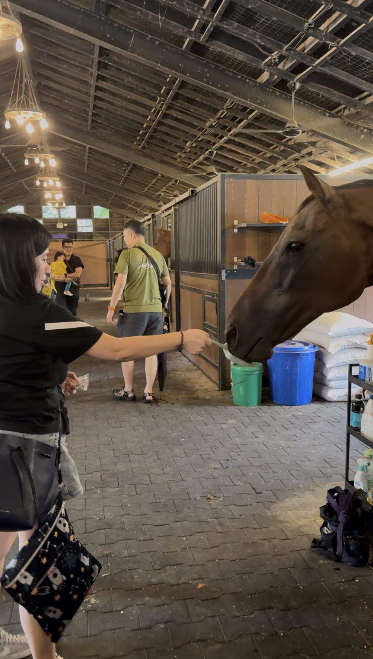Visitors enjoying an activity inside the stable