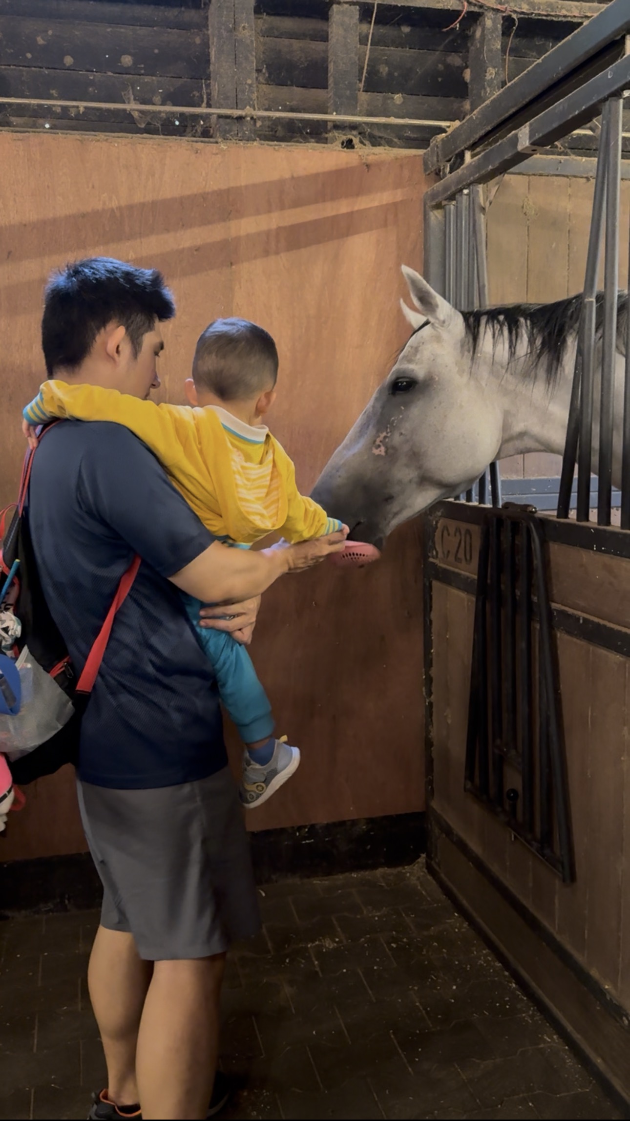 A family spending time with a white horse