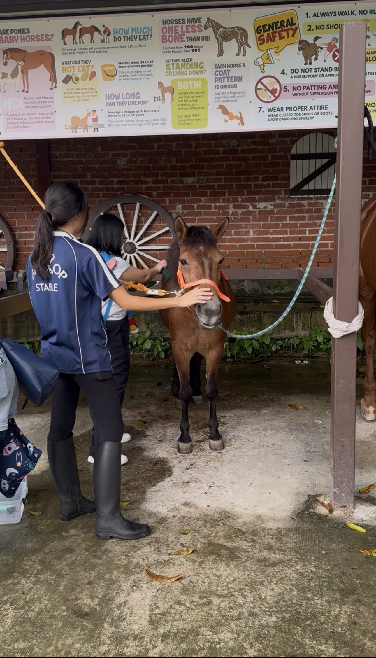 A guided pony activity at Gallop Stable